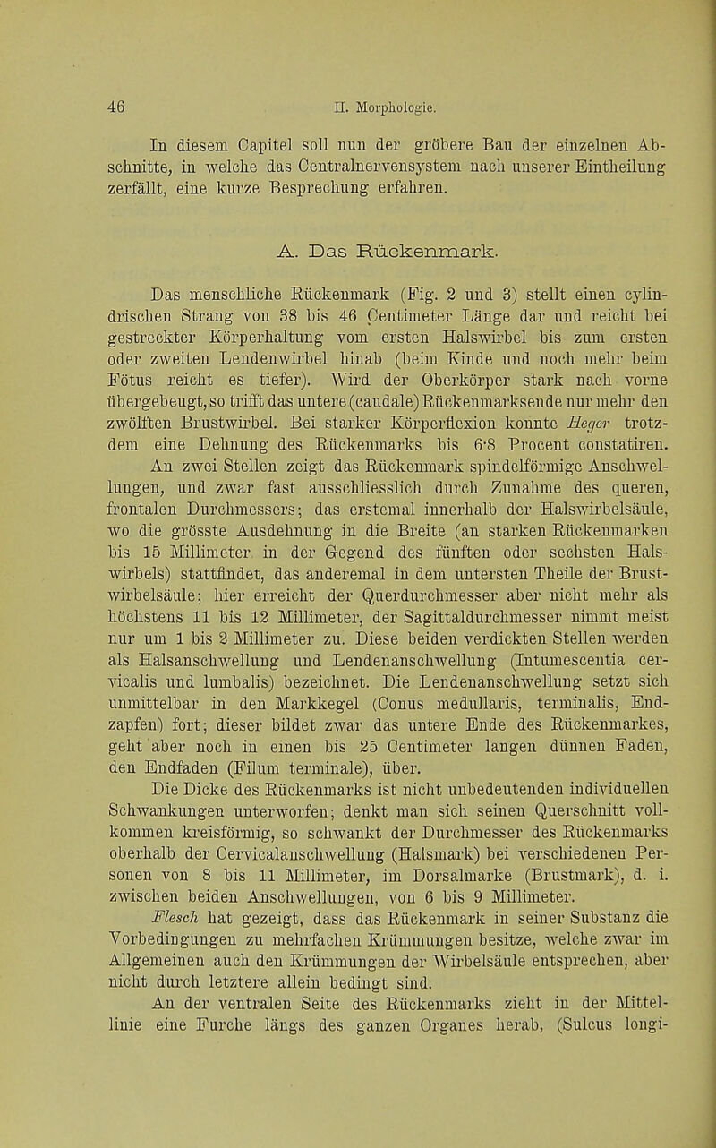 In diesem Capitel soil nun der grobere Ban der eiuzelnen Ab- schnitte, in welclie das Centralnervensystem nacli imserer Eintheilung zerfallt, eine kiirze Besprecliung erfahren. A. Das Ruckenmark. Das menscbliclie Ruckenmark (Pig. 2 uud 3) stellt eiuen cj'lin- driscben Strang von 38 bis 46 Centimeter Lange dar und reicbt bei gestreckter Korperbaltung vom ersten HalsAvii'bel bis zum ersten Oder zweiten Lendenwirbel biuab (beim Kinde und nocb. mebr beim Potus reicbt es tiefer), Wird der Oberkorper stark nacb vorne iibergebeugt,so triift das untere (caudale) Riickenmarksende nur mebr den zwolften Brustwirbel. Bei starker Korperflexion konnte Heger trotz- dem eine Delinuug des Rilckenmarks bis 6'8 Procent constatireu. An zwei Stellen zeigt das Ruckenmark spindelf()rmige Anscbwel- lungen, und zwar fast ausscbliesslicb durcb Zunabme des queren, frontalen Durcbmessers; das erstemal innerhalb der Halswirbelsaule, wo die grosste Ausdebnung in die Breite (an starkeu Rilckenmarken bis 15 Millimeter in der G-egend des funften oder sechsten Hals- wirbels) stattflndet, das anderemal in dem untersten Tbeile der Brust- wirbelsaule; bier erreiclit der Querdurcbmesser aber nicbt mebr als bocbstens 11 bis 12 Millimeter, der Sagittaldurcbmesser nimmt meist nur um 1 bis 2 Millimeter zu, Diese beiden verdickten Stellen werden als Halsanscbwellung und Lendenanscbwellung (Intumesceutia cer- vicalis und lumbalis) bezeicbnet. Die Lendenanscbwellung setzt sicb unmittelbar in den Markkegel (Conus meduUaris, terminalis, End- zapfen) fort; dieser bildet zwar das untere Ende des Riickenmarkes, gebt aber nocb in einen bis 25 Centimeter langen diinnen Faden, den Endfaden (Filum terminale), iibei'. Die Dicke des Riickenmarks ist nicbt unbedeutenden individuellen Schwankungen unterworfen; denkt man sicb seinen Querscbnitt voll- kommen kreisformig, so scbwankt der Durcbmesser des Riickenmarks oberbalb der Cervicalanschwellung (Halsmark) bei verscbiedenen Per- sonen von 8 bis 11 Millimeter, im Dorsalmarke (Brustmark), d. i. zwiscben beiden Anscbwellungen, von 6 bis 9 Millimeter. Flesch bat gezeigt, dass das Ruckenmark in seiner Substanz die Vorbedingungen zu mehrfacben Kriimmungen besitze, Avelcbe zwar im Allgemeinen aucb den Kriimmungen der Wirbelsaule entsprecben, aber nicbt durcb letztere alleiu bedingt sind. An der ventralen Seite des Riickenmarks ziebt in der Mittel- linie eine Furcbe langs des ganzen Orgaues berab, (Sulcus longi-