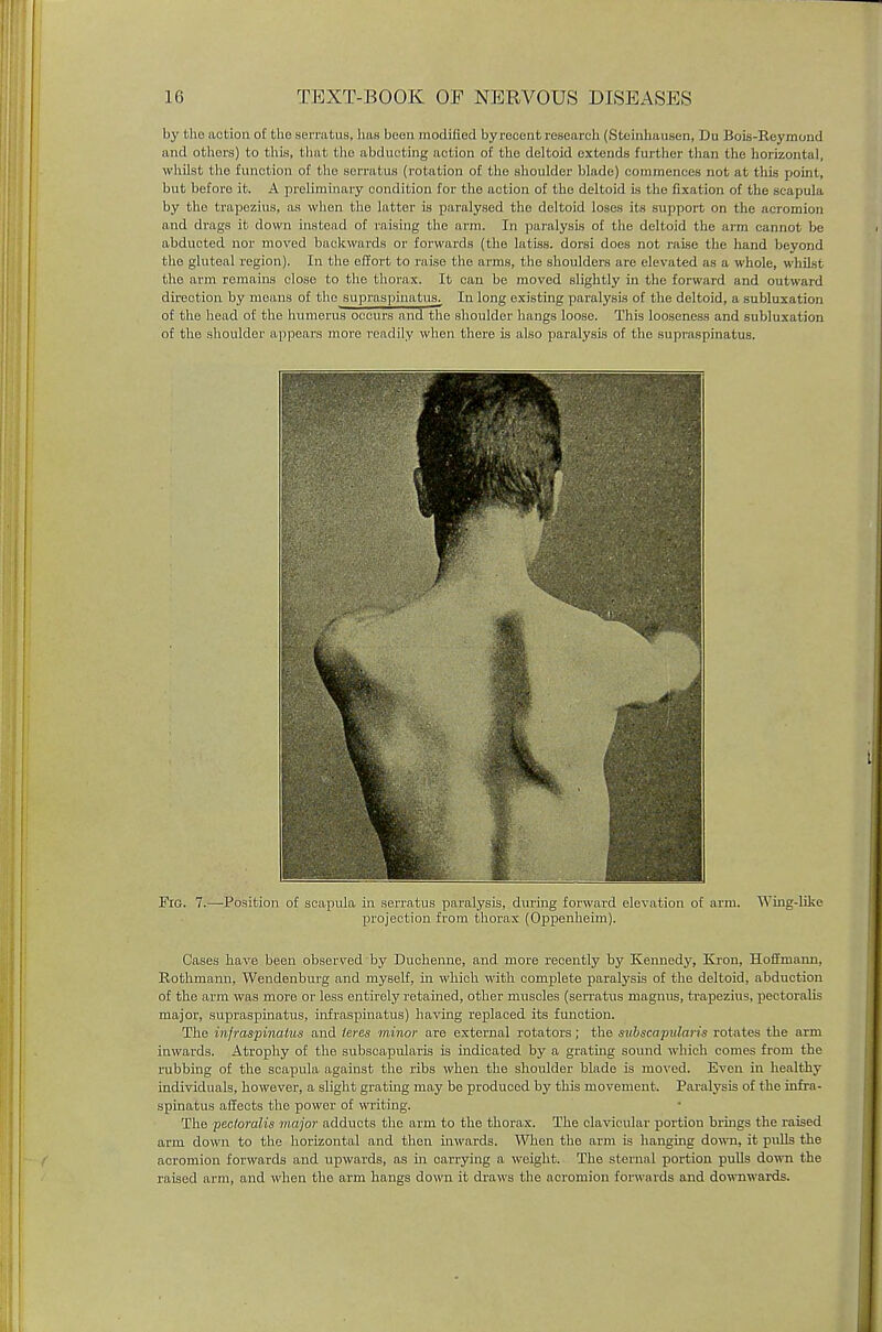 by the action of the serratus, lias been modified by recent research (Steinhausen, Du Bois-Reymond and others) to (his, that the abducting action of the deltoid extends further than the horizontal, whilst tho function of the serratus (rotation of the shoulder blade) commences not at this point, but before it. A preliminary condition for the action of the deltoid is the fixation of the acapnia by the trapezius, as when the latter is paralysed the deltoid loses its support on the acromion and drags it clown instead of raising the arm. In paralysis of the deltoid the arm cannot be abducted nor moved backwards or forwards (the latiss. dorsi does not raise the hand beyond the gluteal region). In the effort to raise the arms, the shoulders are elevated as a whole, whilst the arm remains close to the thorax. It can be moved slightly in the forward and outward direction by means of the supraspinatus.. In long existing paralysis of the deltoid, a subluxation of the head of the humerus occurs and the shoulder hangs loose. This looseness and subluxation of the shoulder appears more readily when there is also paralysis of the supraspinatus. Fig. 7.—-Position of scapula in serratus paralysis, during forward elevation of arm. Wing-like projection from thorax (Oppenheim). Cases have been observed by Duchenne, and more recently by Kenned}', Kron, Hoffmann. Bothmann, Wendenburg and myself, in which with complete paralysis of the deltoid, abduction of the arm was more or less entirely retained, other muscles (serratus niagnus, trapezius, pectoralis major, supraspinatus, infraspinatus) having replaced its function. The infraspinatus and teres minor are external rotators; the subscapular/'^ rotates the arm inwards. Atrophy of the subscapulars is indicated by a grating sound which comes from the rubbing of the scapula against the ribs when the shoulder blade is moved. Even in healthy individuals, however, a slight grating may be produced by this movement. Paralysis of the infra- spinatus affects the power of writing. The pectoralis major adducts the arm to the thorax. The clavicular portion brings the raised arm down to the horizontal and then inwards. When the arm is hanging down, it pulls the acromion forwards and upwards, as in carrying a weight. The sternal portion pulls down the raised arm, and when the arm hangs down it draws the acromion forwards and downwards.