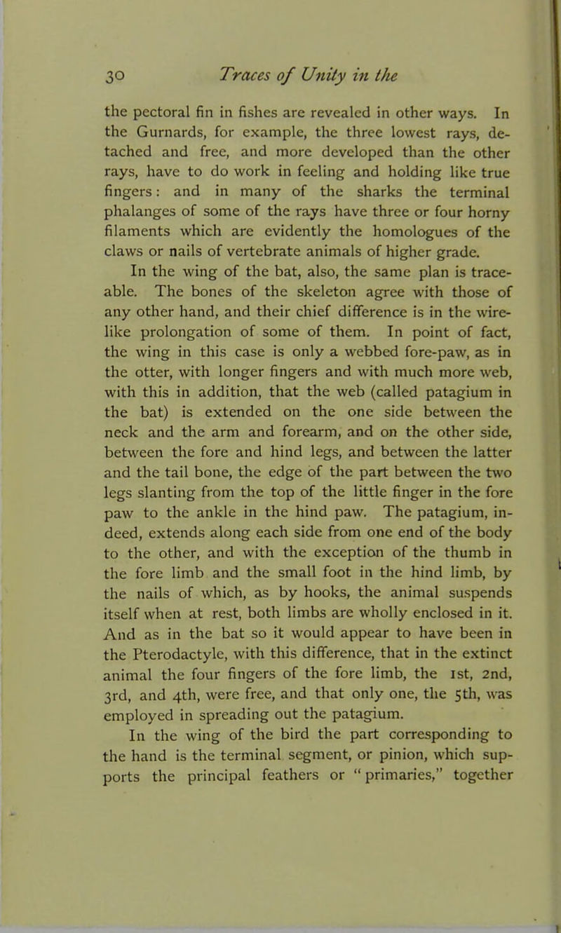 the pectoral fin in fishes are revealed in other ways. In the Gurnards, for example, the three lowest rays, de- tached and free, and more developed than the other rays, have to do work in feeling and holding like true fingers: and in many of the sharks the terminal phalanges of some of the rays have three or four horny filaments which are evidently the homologues of the claws or nails of vertebrate animals of higher grade. In the wing of the bat, also, the same plan is trace- able. The bones of the skeleton agree with those of any other hand, and their chief difference is in the wire- like prolongation of some of them. In point of fact, the wing in this case is only a webbed fore-paw, as in the otter, with longer fingers and with much more web, with this in addition, that the web (called patagium in the bat) is extended on the one side between the neck and the arm and forearm, and on the other side, between the fore and hind legs, and between the latter and the tail bone, the edge of the part between the two legs slanting from the top of the little finger in the fore paw to the ankle in the hind paw. The patagium, in- deed, extends along each side from one end of the body to the other, and with the exception of the thumb in the fore limb and the small foot in the hind limb, by the nails of which, as by hooks, the animal suspends itself when at rest, both limbs are wholly enclosed in it. And as in the bat so it would appear to have been in the Pterodactyle, with this difference, that in the extinct animal the four fingers of the fore limb, the 1st, 2nd, 3rd, and 4th, were free, and that only one, the 5th, was employed in spreading out the patagium. In the wing of the bird the part corresponding to the hand is the terminal segment, or pinion, which sup- ports the principal feathers or  primaries, together