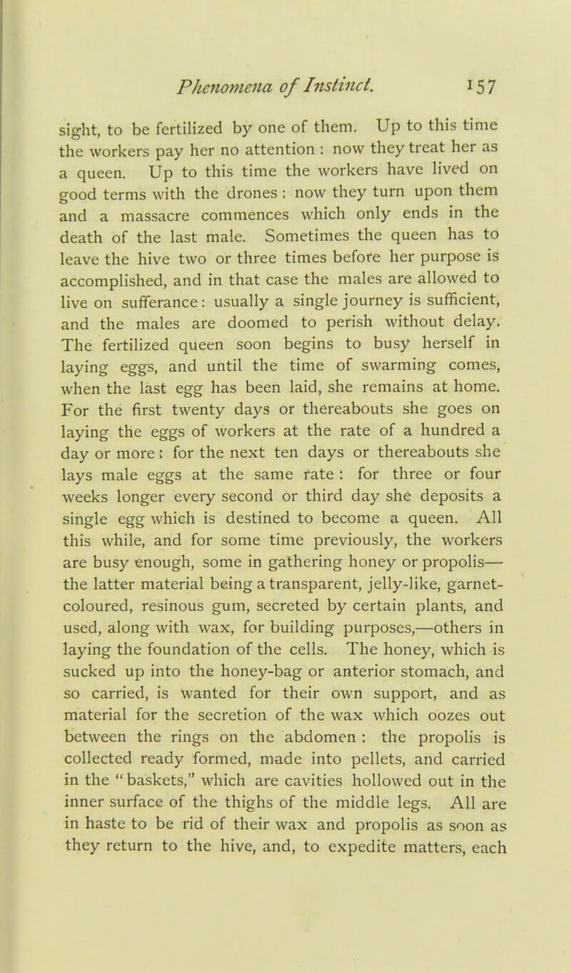 sight, to be fertilized by one of them. Up to this time the workers pay her no attention : now they treat her as a queen. Up to this time the workers have lived on good terms with the drones : now they turn upon them and a massacre commences which only ends in the death of the last male. Sometimes the queen has to leave the hive two or three times before her purpose is accomplished, and in that case the males are allowed to live on sufferance: usually a single journey is sufficient, and the males are doomed to perish without delay. The fertilized queen soon begins to busy herself in laying eggs, and until the time of swarming comes, when the last egg has been laid, she remains at home. For the first twenty days or thereabouts she goes on laying the eggs of workers at the rate of a hundred a day or more i for the next ten days or thereabouts she lays male eggs at the same fate : for three or four weeks longer every second or third day she deposits a single egg which is destined to become a queen. All this while, and for some time previously, the workers are busy enough, some in gathering honey or propolis— the latter material being a transparent, jelly-like, garnet- coloured, resinous gum, secreted by certain plants, and used, along with wax, for building purposes,—others in laying the foundation of the cells. The honey, which is sucked up into the honey-bag or anterior stomach, and so carried, is wanted for their own support, and as material for the secretion of the wax which oozes out between the rings on the abdomen : the propolis is collected ready formed, made into pellets, and carried in the  baskets, which are cavities hollowed out in the inner surface of the thighs of the middle legs. All are in haste to be rid of their wax and propolis as soon as they return to the hive, and, to expedite matters, each