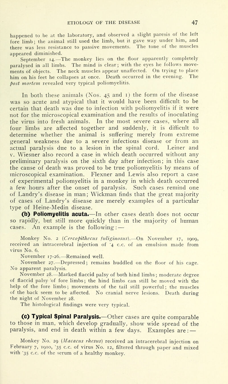 happened to be at the laboratory, and observed a slight paresis of the left fore limb; the animal still used the limb, but it gave way under him, and there was less resistance to passive movements. The tone of the muscles appeared diminished. September 14.—The monkey lies on the floor apparently completely paralysed in all limbs. The mind is clear; with the eyes he follows move- ments of objects. The neck muscles appear unaffected. On trying to place him on his feet he collapses at once. Death occurred in the evening. The post mortem revealed very typical poliomyelitis. In both these animals (Nos. 45 and ij the form of the disease was so acute and atypical that it would have been difficult to be certain that death was due to infection with poliomyelitis if it were not for the microscopical examination and the results of inoculating the virus into fresh animals. In the most severe cases, where all four limbs are affected together and suddenly, it is difficult to determine whether the animal is suffering merely from extreme general weakness due to a severe infectious disease or from an actual paralysis due to a lesion in the spinal cord. Leiner and v. Wiesner also record a case in which death occurred without any preliminary paralysis on the sixth day after infection; in this case the cause of death was proved to be true poliomyelitis by means of microscopical examination. Flexner and Lewis also report a case of experimental poliomyelitis in a monkey in which death occurred a few hours after the onset of paralysis. Such cases remind one of Landry's disease in man; Wickman finds that the great majority of cases of Landry's disease are merely examples of a particular type of Heine-Medin disease. (b) Poliomyelitis acuta.—In other cases death does not occur so rapidly, but still more quickly than in the majority of human cases. An example is the following: — Monkey No. 2 {C ercopithecus fuliginosus).—On November 17, 1909, received an intracerebral injection of '4 c.c. of an emulsion made from virus No. 6. November 17-26.—Remained well. November 27.—Depressed; remains huddled on the floor of his cage. No apparent paralysis. November 28.—Marked flaccid palsy of both hind limbs; moderate degree of flaccid palsy of fore limbs; the hind limbs can still be moved with the help of the fore limbs; movements of the tail still powerful; the muscles of the back seem to be affected. No cranial nerve lesions. Death during the night of November 28. The histological findings were very typical. (c) Typical Spinal Paralysis.—Other cases are quite comparable to those in man, which develop gradually, show wide spread of the paralysis, and end in death within a few days. Examples are: — Monkey No. 29 [Macacus rhesus) received an intracerebral injection on February 7, 1910, 35 c.c. of virus No. 12, filtered through paper and mixed with 35 c.c. of the serum of a healthy monkey.