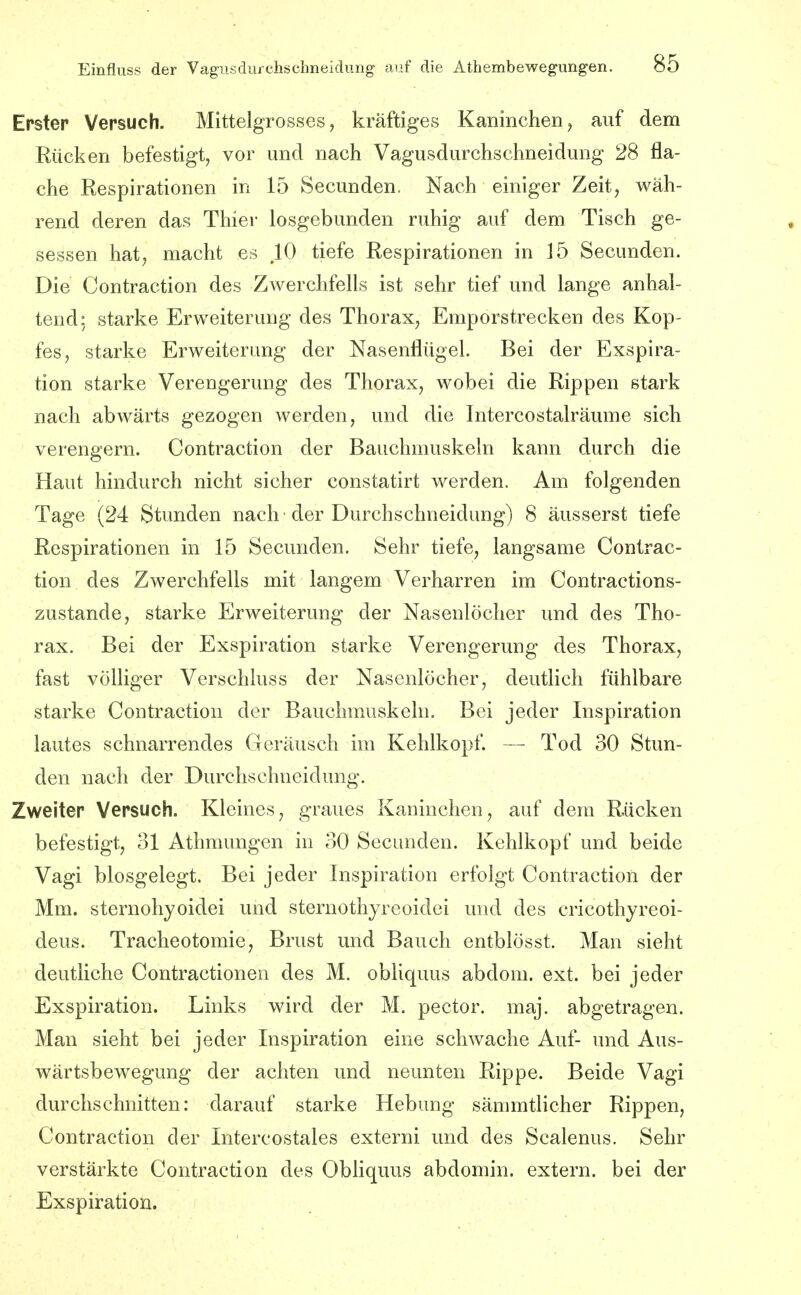 Erster Versuch. Mittelgrosses, kräftiges Kaninchen, auf dem Rücken befestigt, vor und nach Vagusdurchschneidung 28 fla- che Respirationen in 15 Secunden. Nach einiger Zeit, wäh- rend deren das Thier losgebunden ruhig auf dem Tisch ge- sessen hat, macht es ,10 tiefe Respirationen in 15 Secunden. Die Gontraction des Zwerchfells ist sehr tief und lange anhal- tend: starke Erweiterung des Thorax, Emporstrecken des Kop- fes, starke Erweiterung der Nasenflügel. Bei der Exspira- tion starke Verengerung des Thorax, wobei die Rippen stark nach abwärts gezogen werden, und die Intercostalräume sich verengern. Gontraction der Bauchmuskeln kann durch die Haut hindurch nicht sicher constatirt werden. Am folgenden Tage (24 Stunden nach 'der Durchschneidung) 8 äusserst tiefe Respirationen in 15 Secunden. Sehr tiefe, langsame Gontrac- tion des Zwerchfells mit langem Verharren im Gontractions- zustande, starke Erweiterung der Nasenlöcher und des Tho- rax. Bei der Exspiration starke Verengerung des Thorax, fast völliger Verschluss der Nasenlöcher, deutlich fühlbare starke Gontraction der Bauchmuskeln. Bei jeder Inspiration lautes schnarrendes Geräusch im Kehlkopf. — Tod 30 Stun- den nach der Durchschneidung. Zweiter Versuch. Kleines, graues Kaninchen, auf dem Rücken befestigt, 31 Athmungen in 30 Secunden. Kehlkopf und beide Vagi blosgelegt. Bei jeder Inspiration erfolgt Gontraction der Mm. sternohyoidei und sternothyreoidei und des cricothyreoi- deus. Tracheotomie, Brust und Bauch entblösst. Man sieht deutliche Gontractionen des M. obliquus abdom. ext. bei jeder Exspiration. Links wird der M. pector. maj. abgetragen. Man sieht bei jeder Inspiration eine schwache Auf- und Aus- wärtsbewegung der achten und neunten Rippe. Beide Vagi durchschnitten: darauf starke Hebung sämmtlicher Rippen, Gontraction der Intercostales externi und des Scalenus. Sehr verstärkte Gontraction des Obliquus abdomin. extern, bei der Exspiration.
