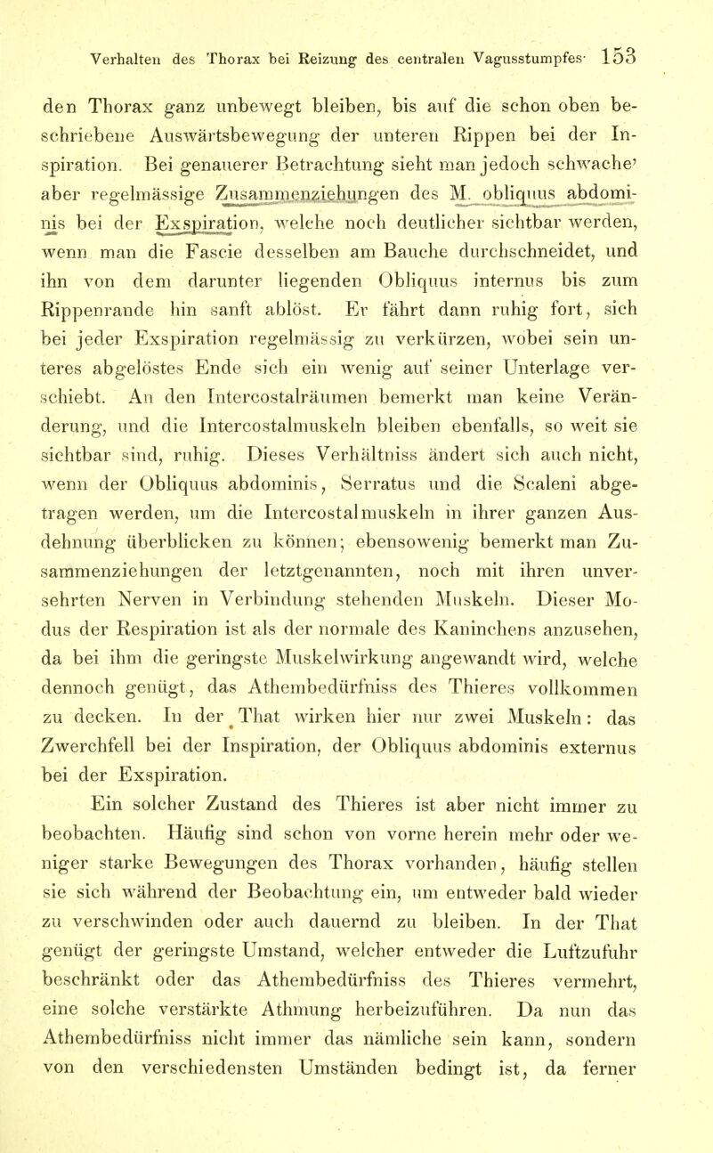 den Thorax ganz unbewegt bleiben^ bis auf die schon oben be- schriebene Auswärtsbewegung der unteren Rippen bei der In- spiration. Bei genauerer Betrachtung sieht man jedoch schwache' aber regelmässige Zusammcng;^!^^^^^ des M._obH(][vuis abdomi- nis bei der Expiration, welche noch deutlicher sichtbar werden, wenn man die Fascie desselben am Bauche durchschneidet, und ihn von dem darunter liegenden Obliquus internus bis zum Rippenrande hin sanft ablöst. Er fährt dann ruhig fort, sich bei jeder Exspiration regelmässig zu verkürzen, wobei sein un- teres abgelöstes Ende sich ein Avenig auf seiner Unterlage ver- schiebt. An den Intercostalräumen bemerkt man keine Verän- derung, und die Intercostalmuskeln bleiben ebenfalls, so weit sie sichtbar sind, ruhig. Dieses Verhältniss ändert sich auch nicht, wenn der Obliquus abdominis, Serratus und die Scaleni abge- tragen werden, um die Intercostalmuskeln in ihrer ganzen Aus- dehnung überblicken zu können; ebensowenig bemerkt man Zu- saramenziehungen der letztgenannten, noch mit ihren unver- sehrten Nerven in Verbindung stehenden Muskeln. Dieser Mo- dus der Respiration ist als der normale des Kaninchens anzusehen, da bei ihm die geringste Muskelwirkung angewandt wird, welche dennoch genügt, das Athembedürfniss des Thieres vollkommen zu decken. In der That wirken hier nur zwei Muskeln: das Zwerchfell bei der Inspiration, der Obliquus abdominis externus bei der Exspiration. Ein solcher Zustand des Thieres ist aber nicht immer zu beobachten. Häufig sind schon von vorne herein mehr oder we- niger starke Bewegungen des Thorax vorhanden, häufig stellen sie sich während der Beobachtung ein, um entweder bald wieder zu verschwinden oder auch dauernd zu bleiben. In der That genügt der geringste Umstand, welcher entweder die Luftzufuhr beschränkt oder das Athembedürfniss des Thieres vermehrt, eine solche verstärkte Athmung herbeizuführen. Da nun das Athembedürfniss nicht immer das nämliche sein kann, sondern von den verschiedensten Umständen bedingt ist, da ferner