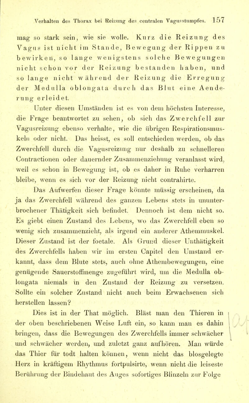 mag so stark sein, wie sie wolle. Kurz die Reizung des Vagus ist nicht im Stande, Bewegung der Rippen zu bewirken, so lange wenigstens solche Bewegungen nicht schon vor dei' Rei^umg bestanden haben, und so lange nicht während der Reizung die Erregung der MedaUa oblongata durch das Blut eine Aende- rung erleidet. Unter diesen Umständen ist es von dem höchsten Interesse, die Frage beantwortet zu sehen, ob sich das Zwerchfell zur Vagusreizung ebenso verhalte, wie die übrigen Respirationsmus- kehi oder nicht. Das heisst, es soll entschieden werden, ob das Zwerchfell durch die Vagusreizung nur deshalb zu schnelleren Contractionen oder dauernder Zusammenziehung veranlasst wird, w^eil es schon in Bewegung ist, ob es daher in Ruhe verharren bleibe, wenn es sich vor der Reizung nicht contrahirte. Das Aufwerfen dieser Frage könnte müssig erseheinen, da ja das Zwerchfell während des ganzen Lebens stets in ununter- brochener Thätigkeit sich befindet. Dennoch ist dem nicht so. Es giebt einen Zustand des Lebens, wo das Zwerchfell eben so wenig sich zusammenzieht, als irgend ein anderer Athemmuskel. Dieser Zustand ist der foetale. Als Grund dieser Unthätigkeit des Zwerchfells haben wir im ersten Capitel den Umstand er- kannt, dass dem Bhite stets, auch ohne Athembewegungen, eine genügende SauerstofFmenge zugeführt wird, um die Medulla ob- longata niemals in den Zustand der Reizung zu versetzen. Sollte ein solcher Zustand nicht auch beim Erwachsenen sich herstellen lassen? Dies ist in der That möglich. Bläst man den Thieren in der oben beschriebenen Weise Luft ein, so kann man es dahin bringen, dass die Bewegungen des Zwerchfells immer schwächer und schwächer werden, und zuletzt ganz aufhören. Man würde das Thier für todt halten können, wenn nicht das blosgelegte Herz in kräftigem Rhythmus fortpulsirte, wenn nicht die leiseste Berührung der Bindehaut des Auges sofortiges BHnzeln zur Folge