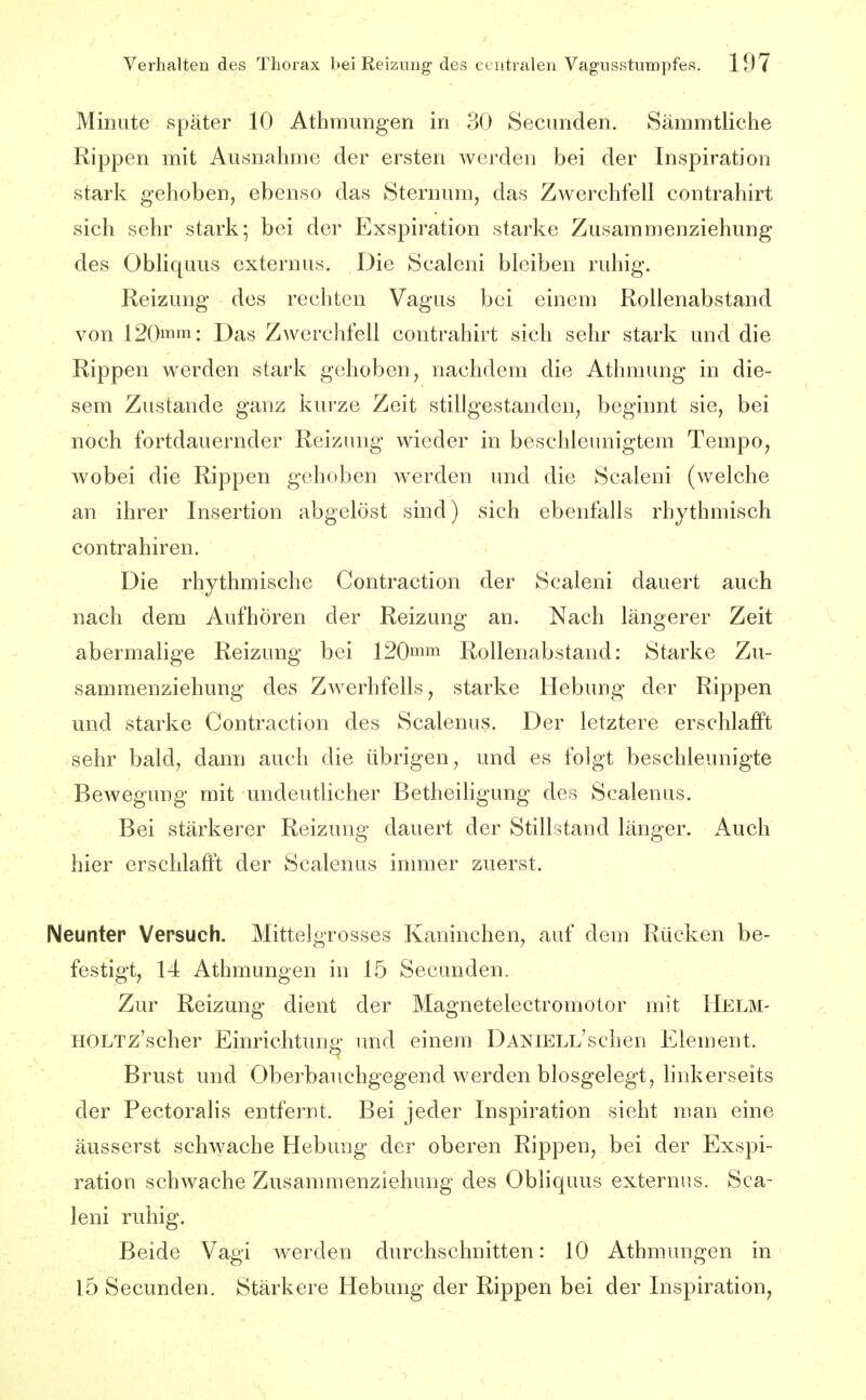 Minute später 10 Athmungen in 30 Secunden. Sämmtliche Eippen mit Ausnahme der ersten werden bei der Inspiration stark gehoben, ebenso das Sternum, das Zwerchfell contrahirt sich sehr stark; bei der Exspiration starke Zusammenziehung des Obliquus externus. Die Scaleni bleiben ruhig. Keizung des rechten Vagus bei einem Rollenabstand von 120mm: Das Zwerchfell contrahirt sich sehr stark und die Rippen werden stark gehoben, nachdem die Athmung in die- sem Zustande ganz kurze Zeit stillgestanden, beginnt sie, bei noch fortdauernder Reizung wieder in beschleunigtem Tempo, wobei die Rippen gehoben werden und die Scaleni (welche an ihrer Insertion abgelöst sind) sich ebenfalls rhythmisch contrahiren. Die rhythmische Contraction der Scaleni dauert auch nach dem Aufhören der Reizung an. Nach längerer Zeit abermalige Reizung bei 120mm Rollenabstand: Starke Zu- sammenziehung des Zwerhfells, starke Hebung der Rippen und starke Contraction des Scalenus. Der letztere erschlafft sehr bald, dann auch die übrigen, und es folgt beschleunigte Bewegung mit undeutlicher Betheihgung des Scalenus. Bei stärkerer Reizung dauert der Stillstand länger. Auch hier erschlafft der Scalenus immer zuerst. Neunter Versuch. Mittelgrosses Kaninchen, auf dem Rücken be- festigt, 14 Athmungen in 15 Secunden. Zur Reizung dient der Magnetelectromotor mit Helm- HOLTz'scher Einrichtung und einem DANlELL'schen Element. Brust und Oberbauchgegend werden blosgelegt, linkerseits der Pectorahs entfernt. Bei jeder Inspiration sieht man eine äusserst schwache Hebung der oberen Rippen, bei der Exspi- ration schwache Zusammenziehung des Obliquus externus. Sca- leni ruhig. Beide Vagi werden durchschnitten: 10 Athmungen in 15 Secunden. Stärkere Hebung der Rippen bei der Inspiration,