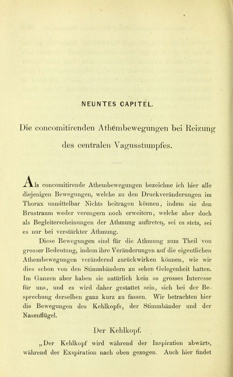 NEUNTES CAPITEL. Die coiicomitirenden Athömbewegungen bei Reizung des centralen Vagusstumpfes. -Ä^is concomitirende Athembewegungen bezeichne ich hier alle diejenigen Bewegungen, welche zu den Druckveränderungen im Thorax unmittelbar Nichts beitragen können, indem sie den Brustraum weder verengern noch erweitern, welche aber doch als Begleiterscheinungen der Athmung auftreten, sei es stets, sei es nur bei verstärkter Athmung. Diese Bewegungen sind für die Athmung zum Theil von grosser Bedeutung, indem ihre Veränderungen auf die eigentlichen Athembewegungen verändernd zurückwirken können, wie wir dies schon von den Stimmbändern zu sehen Gelegenheit hatten. Im Ganzen aber haben sie natürlich kein so grosses Interesse für uns, und es wird daher gestattet sein, sich bei der Be- sprechung derselben ganz kurz zu fassen. Wir betrachten hier die Bewegungen des Kehlkopfs, der Stimmbänder und der Nasenflügel. Der Kehlkopf. „Der Kehlkopf wird während der Inspiration abwärts, während der Exspiration nach oben gezogen. Auch hier findet