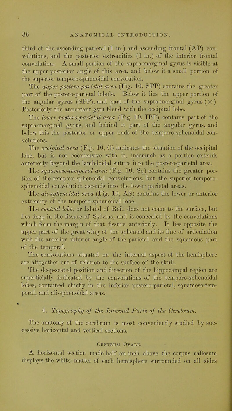 third of the ascending parieta] (1 in.) and ascending frontal (AP) con- volutions, and the posterior extremities (1 in.) of the inferior frontal convolution. A small portion of the supra-marginal gyrus is visible at the upper posterior angle of this area, and below it a small portion of the superior temporo-sphenoidal convolution. The upper postero-parietal area (Fig. 10, SPP) contains the greater part of the postero-parietal lobule. Below it lies the upper portion of the angular gyrus (SPP), and part of the supra-marginal gyrus (X) Posteriorly the annectant gyri blend with the occipital lobe. The lower postero-parietal area (Fig. 10, IPP) contains part of the supra-marginal gyrus, and behind it part of the angular gyrus, and below this the posterior or upper ends of the temporo-sphenoidal con- volutions. The oeeipital area (Fig. 10, 0) indicates the situation of the occipital lobe, but is not coextensive with it, inasmuch as a portion extends anteriorly beyond the lambdoidal suture into the postero-parietal area. The squamoso-temporal area (Fig. 10, Sq) contains the greater por- tion of the temporo-sphenoidal convolutions, but the superior temporo- sphenoidal convolution ascends into the lower parietal areas. The ali-sphenoidal area (Fig. 10, AS) contains the lower or anterior extremity of the temporo-sphenoidal lobe. The central lobe, or Island of Keil, does not come to the surface, but lies deep in the fissure of Sylvius, and is concealed by the convolutions which form the margin of that fissure anteriorly. It lies opposite the upper part of the great wing of the sphenoid and its line of articulation with the anterior inferior angle of the parietal and the squamous part of the temporal. The convolutions situated on the internal aspect of the hemisphere are altogether out of relation to the surface of the skull. The deep-seated position and direction of the hippocampal region are superficially indicated by the convolutions of the temporo-sphenoidal lobes, contained chiefly in the inferior postero-parietal, squamoso-tem- poral, and ali-sphenoidal areas. 4. Toptography of the Internal Parts of the Cerebrum. The anatomy of the cerebrum is most conveniently studied by suc- cessive horizontal and vertical sections. Centrum Ovale. A horizontal section made half an inch above the corpus callosum displays the white matter of each hemisphere surrounded on all sides