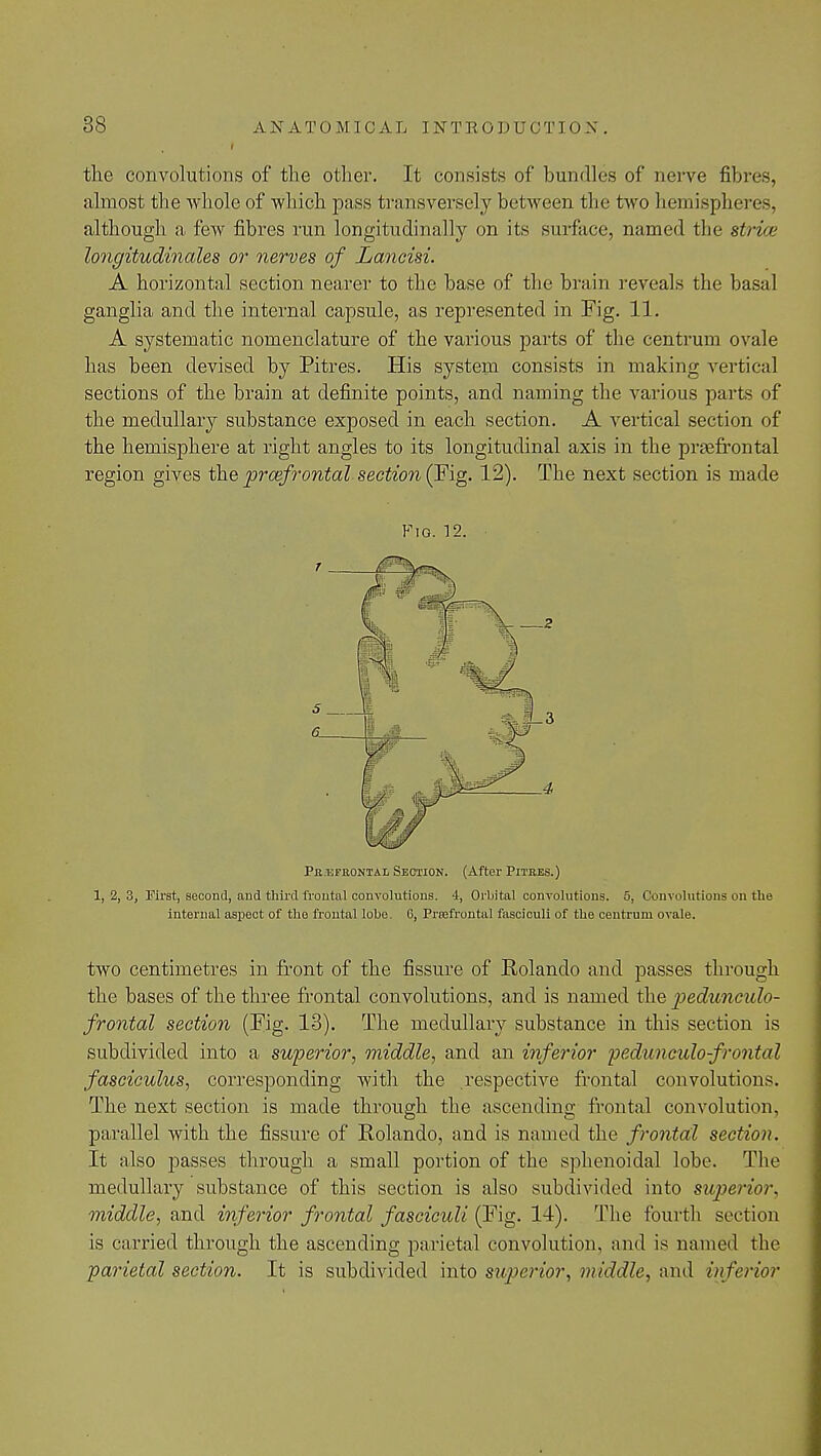 the convolutions of the other. It consists of bundles of nerve fibres, almost the whole of which pass transversely between the two hemispheres, although a few fibres run longitudinally on its surface, named the striai longitudinales or nerves of Lancisi. A horizontal section nearer to the base of the brain reveals the basal ganglia and the internal capsule, as represented in Fig. 11. A systematic nomenclature of the various parts of the centrum ovale has been devised by Pitres. His system consists in making vertical sections of the brain at definite points, and naming the various parts of the medullary substance exposed in each section. A vertical section of the hemisphere at right angles to its longitudinal axis in the prefrontal region gives the prefrontal section (Fig. 12). The next section is made Fig. 12. PREFRONTAL SECTION. (After PlTRES.) 1,2,3, First, second, and thircHrontal convolutions. 4, Orbital convolutions. 5, Convolutions on the internal aspect of the frontal lobe. 6, Pnefrontal fasciculi of the centrum ovale. two centimetres in front of the fissure of Rolando and passes through the bases of the three frontal convolutions, and is named the pedunculo- frontal section (Fig. 13). The medullary substance in this section is subdivided into a superior, middle, and an inferior fjedwiculo frontal fasciculus, corresponding with the respective frontal convolutions. The next section is made through the ascending frontal convolution, parallel with the fissure of Rolando, and is named the frontal section. It also passes through a small portion of the sphenoidal lobe. The medullary substance of this section is also subdivided into superior, middle, and inferior frontal fasciculi (Fig. 14). The fourth section is carried through the ascending parietal convolution, and is named the ■parietal section. It is subdivided into superior, middle, and inferior