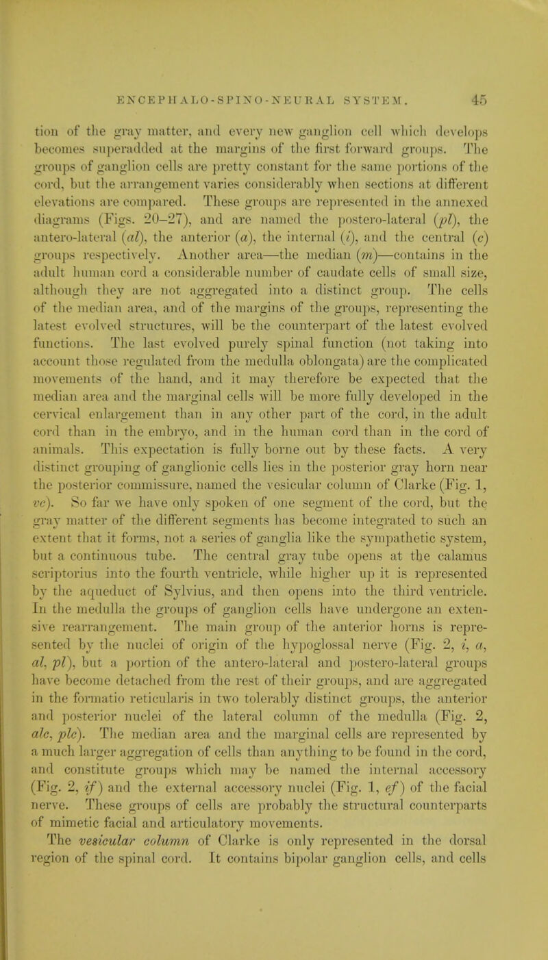 tion of the gray matter, and every new ganglion cell which develops becomes superadded at the margins of the first forward groups. The groups of ganglion cells are pretty constant for the same portions of the cord, but rhe arrangement varies considerably when sections at different elevations are compared. These groups are represented in the annexed diagrams (Figs. 20-27), and are named the posterolateral (pZ), the anterolateral (at), the anterior (a), the internal (/), and the central (c) groups respectively. Another area—the median (m)—contains in the adult human cord a considerable number of caudate cells of small size, although they are not aggregated into a distinct group. The cells of the median area, and of the margins of the groups, representing the latest evolved structures, will be the counterpart of the latest evolved functions. The last evolved purely spinal function (not taking into account those regulated from the medulla oblongata) are the complicated movements of the hand, and it may therefore be expected that the median area and the marginal cells will be more fully developed in the cervical enlargement than in any other part of the cord, in the adult cord than in the embryo, and in the human cord than in the cord of animals. This expectation is fully borne out by these facts. A very distinct grouping of ganglionic cells lies in the posterior gray horn near the posterior commissure, named the vesicular column of Clarke (Fig. 1, vc). So far we have only spoken of one segment of the cord, but the gray matter of the different segments has become integrated to such an extent that it forms, not a series of ganglia like the sympathetic system, but a continuous tube. The central gray tube opens at the calamus scriptorms into the fourth ventricle, while higher up it is represented by the aqueduct of Sylvius, and then opens into the third ventricle. In the medulla the groups of ganglion cells have undergone an exten- sive rearrangement. The main group of the anterior horns is repre- sented by the nuclei of origin of the hypoglossal nerve (Fig. 2, i, «, al. pi), but a portion of the antero-lateral and postero-lateral groups have become detached from the rest of their groups, and are aggregated in the formatio reticularis in two tolerably distinct groups, the anterior and posterior nuclei of the lateral column of the medulla (Fig. 2, ale, pic). The median area and the marginal cells are represented by a much larger aggregation of cells than anything to be found in the cord, and constitute groups which may be named the internal accessory (Fig. 2, if) and the external accessory nuclei (Fig. 1, ef) of the facial nerve. These groups of cells are probably the structural counterparts of mimetic facial and articulatory movements. The vesicular column of Clarke is only represented in the dorsal region of the spinal cord. It contains bipolar ganglion cells, and cells
