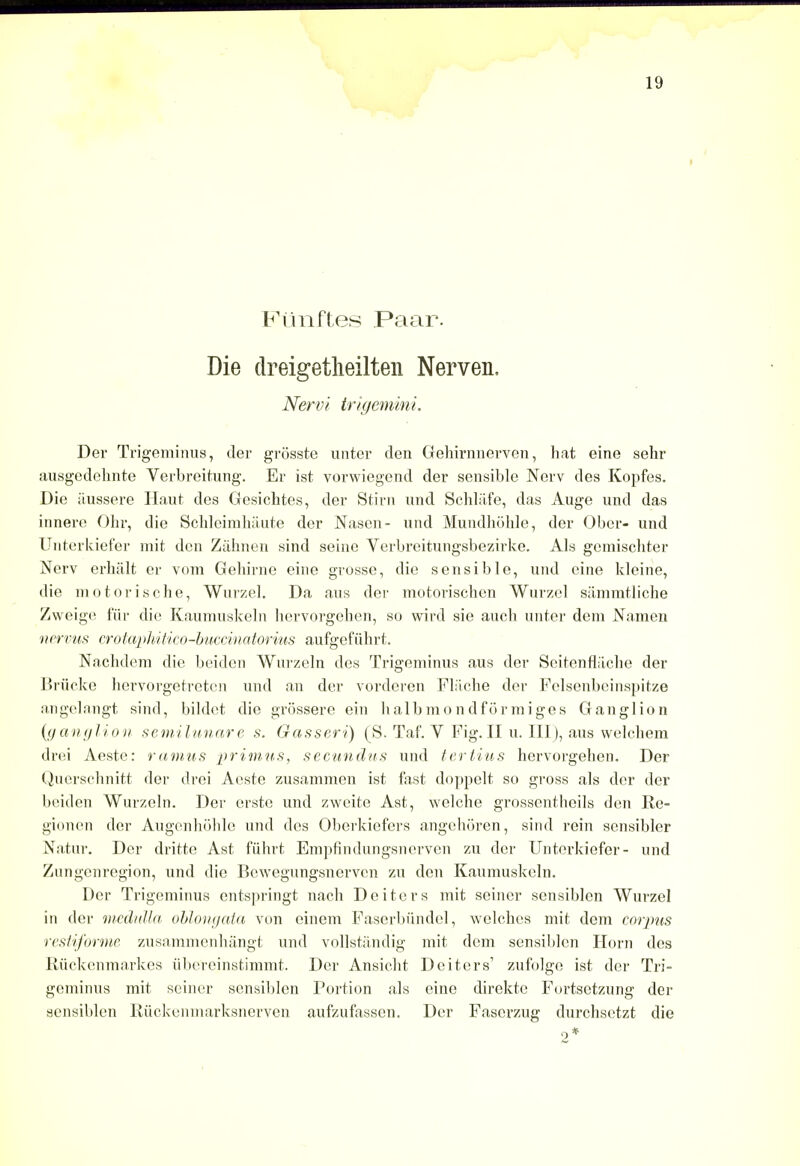 Ftinftes Paar. Die dreigetheilten Nerven. Nervi trigemini. Der Trigeminus, der grosste unter den Gehirnnerven, hat eine sehr ausgedehnte Verbreitung. Er ist vorwiegend der sensible Nerv des Kopfes. Die iiussere Haut des Gesichtes, der Stirn und Schlafe, das Auge and das innere Ohr, die Schleimhaute der Nascn- und Mundhohle, der Ober- und Unterkiefer mit den Ziihnen sind seine Verbreitungsbezirke. Als gemischter Nerv erhalt er vom Gehirne eine grosse, die sensible, und eine kleine, die motorische, Wurzel. Da aus der motorischen Wurzel sammtliche Zweige fur die Kaumuskeln hervorgehen, so wird sie auch unter dem Namen nervus crotaphitico-buccinatorius aufgefuhrt. Nachdem die beiden Wurzeln des Trigeminus aus der ScitcnfL'iche der Briicke hervorgetrcten und an der vorderen Flache der Felsenbeinspitze angelangt sind, bildet die grossere ein halbmondformiges Ganglion {ganglion semilunar e s. Gasseri) (S. Taf. Y Fig. II u. Ill), aus welch em drei Aeste: ramus primus, secundus und tertius hervorgehen. Der Querschnitt der drei Aeste zusammen ist fast doppelt so gross als der der beiden Wurzeln. Der crste und zweite Ast, welche grossentheils den Re- gionen der Augenhohle und des Oberkiefers angehoren, sind rein sensibler Natur. Dor dritte Ast fiihrt Empfindungsnerven zu der Unterkiefer- und Zungenregion, und die Bcwegungsnervcn zu don Kaumuskeln. Dor Trigeminus entspringt nach Deiters mit seiner sensiblcn Wurzel in der medulla oblongata von einem Faserbiindel, welches mit dem corpus restiforme zusammenhangt und vollstandig mit dem sensiblcn Horn des Kuckcnmarkcs ubereinstimmt. Der Ansicht Deitcrs1 zufolge ist der Tri- geminus mit seiner sensiblcn Portion als cine direkte Fortsetzung der sensiblcn Riickenmarksnerven aufzufassen. Der Fascrzug durchsctzt die o*