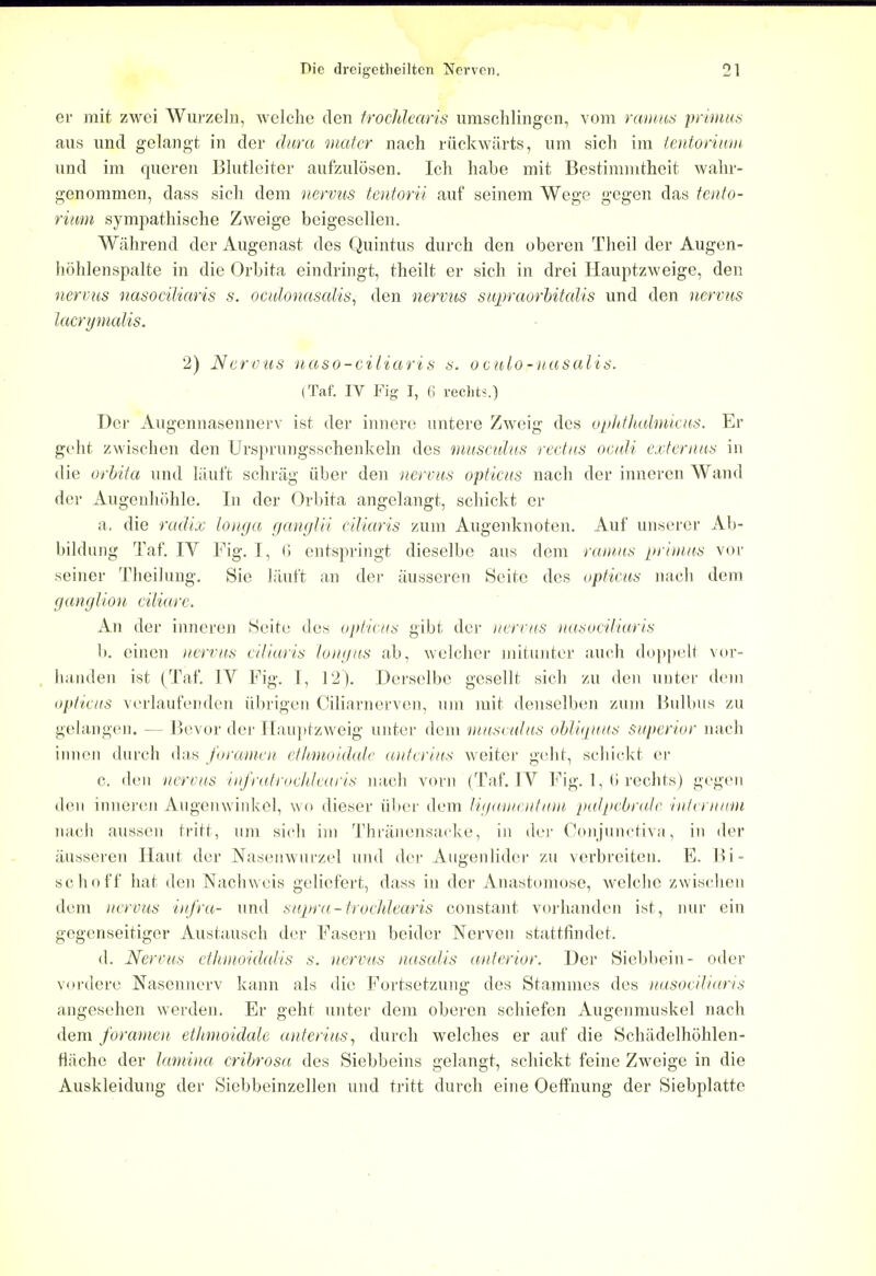 er mit zwei Wurzeln, welchc den trochlearis umschlingen, vom ramus primus aus und gelangt in der dura mater nach riickwarts, urn sich im tentorium and im queren Blutleiter aufzuldsen. Icli habe mit Bestimnitheit wahr- genommen, dass sich dem nervus tentorii auf seinem Wege gegen das tento- rium sympathische Zweige beigesellen. Wiihrend der Augenast des Quintus durch den oberen Theil der Augen- hohlenspalte in die Orbita eindringt, theilt er sich in drei Hauptzweige, den nervus nasociliaris s. oculonasaMs, den nervus supraorbitals und den nervus lacrymalis. 2) Nervus uaso-ciliaris s. oculo-uasalis. (Taf. IV Fig I, 6 rechts.) Dor Augennasennerv ist der innere untere Zweig des ophthalmicus. Er geht zwischen den Ursprungsschenkeln des musculus rectus oculi externus in die orbita und lauft schrag iiber den nervus opticus nach der inneren Wand der Augcnhohle. In der Orbita angelangt, schickt er a. die radix tonga ganglii ciliaris zum Augenknoten. Auf unserer Ab- bildung Taf. IV Fig. I, (i entspringt dieselbe aus dem ramus primus vor seiner Theilung. Sie lauft an der ausseren Seito des opticus nach dem ganglion ciliare. An der inneren Heite des opticus gibt der nervus nasociliaris b. einen nervus ciliaris longus ab, welcher tnitunter auch doppeh1 vor- handen ist (Taf. IV Fig. I, 12). Derselbe gesellt sich zu den unter dem opticus verlaufenden iibrigen Ciliarnerven, urn mit denselben zum Bulbus zu ge Ian gen. — Bevor der Eauptzweig unter dem musmlus obliquus superior nach innen durch this foramen ethmoidale anterius weiter geht, schickt er c. den iterms infratrochlearis nach vorn (Taf. IV Fig. 1, (i rechts) gegen den inneren Augenwinkel, wo dieser iiber dem lig amentum palpebrale internum nach aussen tritt, um sich im Thranensacke, in der Conjunctiva, in der ausseren Haut der Nasenwurzel und der Augenlider zu verbreiten. E. Hi - schoff hat den Nachweis geliefert, dass in der Anastomose, welche zwischen dem nervus infra- und supra-trochlearis constant vorhanden ist, nur ein gegenseitiger Austausch der Fascrn beider Nerven stattfindet. d. Nervus ethmoickdis s. nervus nasalis anterior. Der Siebbein- oder vordere Nasennerv kann als die Fortsetzung des Stammes des nasociliaris angesehen werden. Er geht unter dem oberen schiefen Augenmuskel nach dem foramen ethmoidale anterius, durch welches er auf die Schadelhohlen- flache der lamina cribrosa des Siebbeins gelangt, schickt feine Zweige in die Auskleidung der Siebbeinzellen und tritt durch eine Oeffnung der Siebplatte