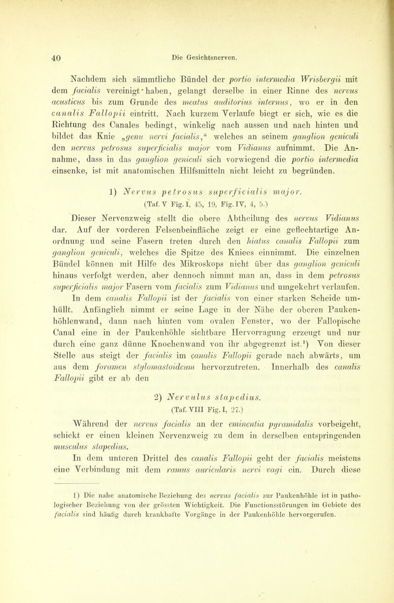 Nachdem sich sammtliche Biindel der portio intermedia Wrisbergii mit dem facialis vereinigt haben, gelangt derselbe in einer Rinne des nervus acusticus bis zum Grunde des meatus auditorius intemus, wo er in den canalis Fallopii eintritt. Nach kurzem Yerlaufe biegt er sich, wie es die Richtung des Canales bedingt, winkelig nach aussen und nacb binten und bildet das Knie „genu nervi facialis, welches an seinem ganglion geniculi den nervus petrosus superficialis major vom Vidianus aufnimmt. Die An- nahme, dass in das ganglion geniculi sich vorwiegend die portio intermedia einsenke, ist mit anatomischen Hilfsmitteln nicht leicht zu begriinden. 1) Nervus petrosus superficialis major. (Taf.V Fig. I, 45, 19, Fig. IV, 4, 5.) Dieser Nervenzweig stellt die obere Abtheilung des nervus Vidianus dar. Auf der vorderen Felsenbeinflache zeigt er eine geflechtartige An- ordnung und seine Fasern treten durch den hiatus canalis Fallopii zum ganglion geniculi, welches die Spitze des Kniees einnimmt. Die einzelnen Biindel konnen mit Hilfe des Mikroskops nicht iiber das ganglion geniculi hinaus verfolgt werden, aber dennoch nimmt man an, dass in dem petrosus superficialis major Fasern vom facialis zum Vidianus und umgekehrt verlaufen. In dem canalis Fallopii ist der facialis von einer starken Scheide um- hiillt. Anfanglich nimmt er seine Lage in der Nahe der obcren Pauken- hohlenwand, dann nach hinten vom ovalen Fenster, wo der Fallopische Canal eine in der Paukenhohle sichtbare Hervorragung erzeugt und nur durch eine ganz diinne Knochenwand von ihr abgegrenzt ist.1) Von dieser Stelle aus steigt der facialis im canalis Fallopii gerade nach abwarts, um aus dem foramen stylomastoideum hervorzutreten. Innerhalb des canalis Fallopii gibt er ab den 2) Nervulus stapedius. (Taf. VIII Fig. I, 27.) Wahrend der nervus facialis an der eminentia pyramidalis vorbeigeht, schickt er einen kleinen Nervenzweig zu dem in derselben entspringenden musculus stapedius. In dem unteren Drittel des canalis Fallopii geht der facialis meistens eine Verbindung mit dem ramus auricularis nervi vagi ein. Durch diese 1) Die nahe anatomische Beziehung des nervus facialis zur Paukenhohle ist in patho- logischer Bezieliung von der grossten Wichtigkeit. Die Functionsstorungen im Gebiete des facialis sind haufig durch krankhafte Vorgiinge in der Paukenhohle hervorgerufen.