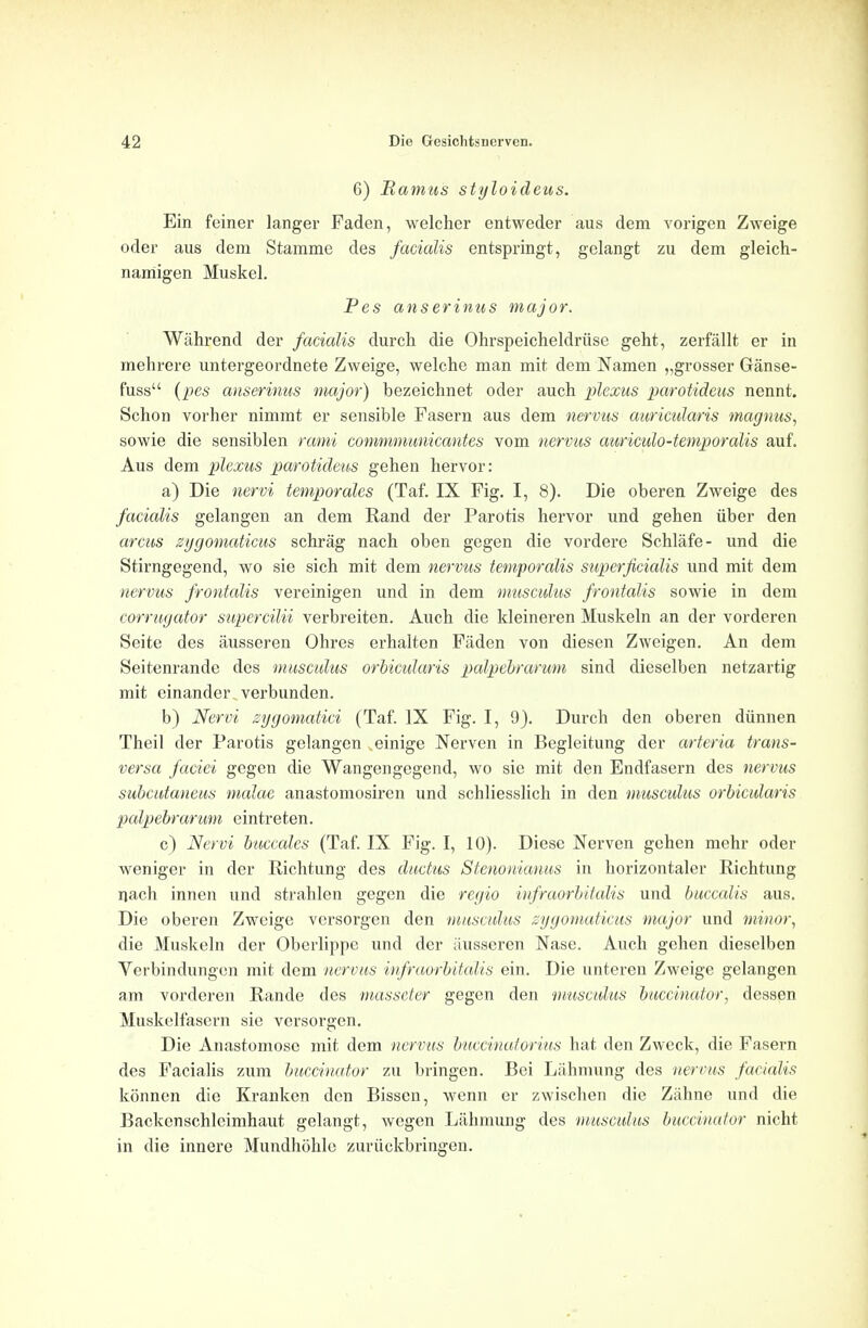 6) Ramus styloideus. Ein feiner langer Faden, welcher entweder aus dem vorigen Zweige oder aus dem Stamme des facialis entspringt, gelangt zu dem gleich- namigen Muskel. Pes anserinus major. Wahrend der facialis durch die Ohrspeicheldriise geht, zerfallt er in mehrere untergeordnete Zweige, welche man mit dem Namen „grosser Ganse- fuss (pes anserinus major) bezeichnet oder auch plexus parotideus nennt. Schon vorher nimmt er sensible Fasern aus dem nervus auricidaris magnus, sowie die sensiblen rami commmunicantes vom nervus auriculo-temporalis auf. Aus dem plexus parotideus gehen hervor: a) Die nervi temporales (Taf. IX Fig. I, 8). Die oberen Zweige des facialis gelangen an dem Rand der Parotis hervor und gehen iiber den arcus zygomaticus schrag nach oben gegen die vordere Schlafe- und die Stirngegend, wo sie sich mit dem nervus temporalis superficialis und mit dem nervus frontalis vereinigen und in dem muscidus frontalis sowie in dem corrugator supercilii verbreiten. Auch die kleineren Muskeln an der vorderen Seite des ausseren Ohres erhalten Faden von diesen Zweigen. An dem Seitenrande des muscidus orbicularis palpebrarum sind dieselben netzartig mit einander verbunden. b) Nervi zygomatici (Taf. IX Fig. I, 9). Durch den oberen diinnen Theil der Parotis gelangen einige Nerven in Begleitung der arteria trans- versa faciei gegen die Wangengegend, wo sie mit den Endfasern des nervus subcutaneus malae anastomosiren und schliesslich in den muscidus orbicularis palpebrarum eintreten. c) Nervi buccales (Taf. IX Fig. I, 10). Diese Nerven gehen mehr oder weniger in der Richtung des ductus Stenonianus in horizontaler Richtung nach innen und strahlen gegen die regio hifraorbitalis und buccalis aus. Die oberen Zweige versorgen den muscidus zygomaticus major und minor, die Muskeln der Oberlippe und der ausseren Nase. Auch gehen dieselben Verbindungen mit dem nervus infraorbitalis ein. Die unteren Zweige gelangen am vorderen Rande des masscter gegen den muscidus buccinator, dessen Muskelfasern sie versorgen. Die Anastomose mit dem nervus buccinatorins hat den Zweck, die Fasern des Facialis zum buccinator zu bringcn. Bei Lahmung des nervus facialis konnen die Kranken den Bisscn, wenn er zwischen die Zahne unci die Backenschlcimhaut gelangt, wcgen Lahmung des muscidus buccinator nicht in die innere Mundhohle zuriickbringen.