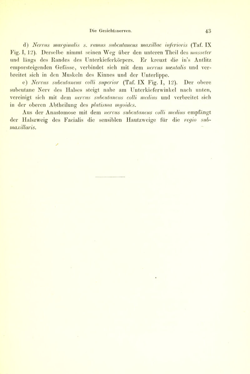 d) Nervus marginalis s. ramus subcutaneus maxillae inferioris (Taf. IX Fig. I, 12). Derselbe nimmt scinen Weg iiber den untcren Thcil des masseter und kings des Randes des Unterkicfcrkdrpers. Er kreuzt die in's Antlitz emporsteigenden Gefiissc, verbindet sich mit dem nervus mcntalis und ver- breitet sich in den Muskcln des Kinnes und dcr Unterlippe. e) Nervus subcutaneus colli superior (Taf. IX Pig. I, 12). Der obere subcutane Nerv des liaises steigt nahe am Unterkiefcrwinkcl nach unten, vereinigt sich mit dem nervus subcutaneus colli medius und verbrcitet sich in der oberen Abthcilung des platisma myoides. Aus der Anastomose mit dem nervus subcutaneus colli medius cmpfangt der Halszweig des Facialis die sensiblen Hautzwcige fur die regio sub- maxillaris.