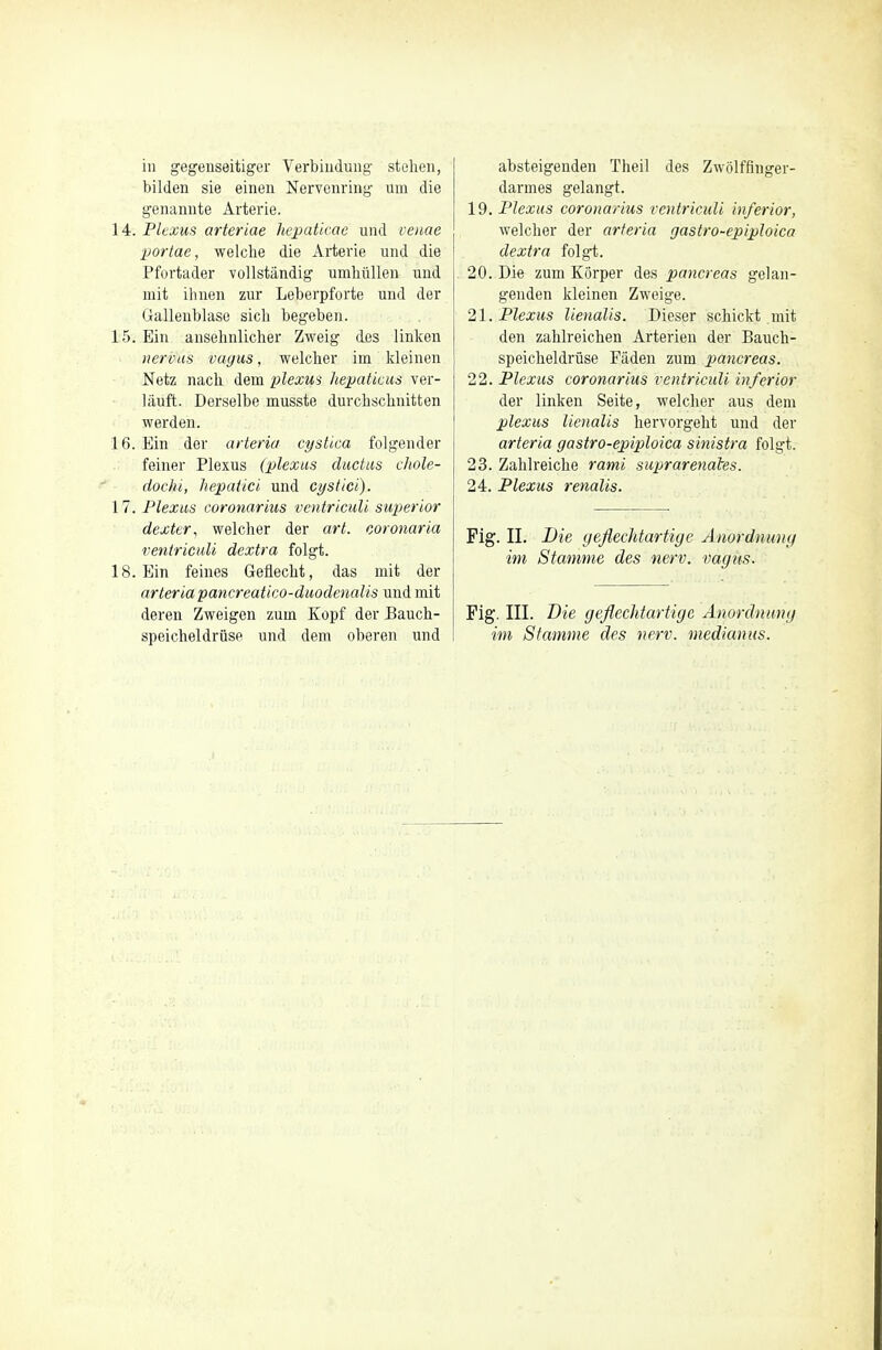 iii gegenseitiger Verbiiidung stehen, bilden sie einen Nervcnring uin die genannte Arterie. 14. Plexus arteriae hepaticae und venae portae, welche die Arterie und die Pfortader vollstandig umhiillen und mit ihnen zur Leberpforte und der Gallenblase sich begeben. 15. Ein ausehnlicher Zweig des linken nervus vagus, welcher ini kleinen Netz nach dem plexus hepatkus ver- lauft. Derselbe musste durchschnitten werden. 16. Ein der arteria cystica folgender feiner Plexus (plexus ductus chole- dochi, hepatici und cystiei). 17. Plexus coronarius ventriculi superior dexter, welcher der art. coronaria ventriculi dextra folgt. 18. Ein feines Gefleclit, das mit der arteriapancreatico-duodenalis und mit deren Zweigen zuin Kopf der Bauch- speicheldriise und dem oberen und absteigenden Theil des Zwolflnger- darmes gelangt. 19. Plexus coronarius ventriculi inferior, welcher der arteria gastro-epiploica dextra folgt. 20. Die zum Korper des pancreas gelan- genden kleinen Zweige. 21. Plexus lienalis. Dieser schickt mit den zahlreichen Arterien der Bauch- speicheldriise Faden zum pancreas. 22. Plexus coronarius ventriculi inferior der linken Seite, welcher aus dem plexus lienalis hervorgeht und der arteria gastro-epiploica sinistra folgt. 23. Zahlreiche rami suprarenales. 24. Plexus renalis. Fig. II. Die geflechtartige Anordnmig im Stamme des nerv. vagus. Fig. III. Die geflechtartige Anordnung im Stamme des nerv. medianus.