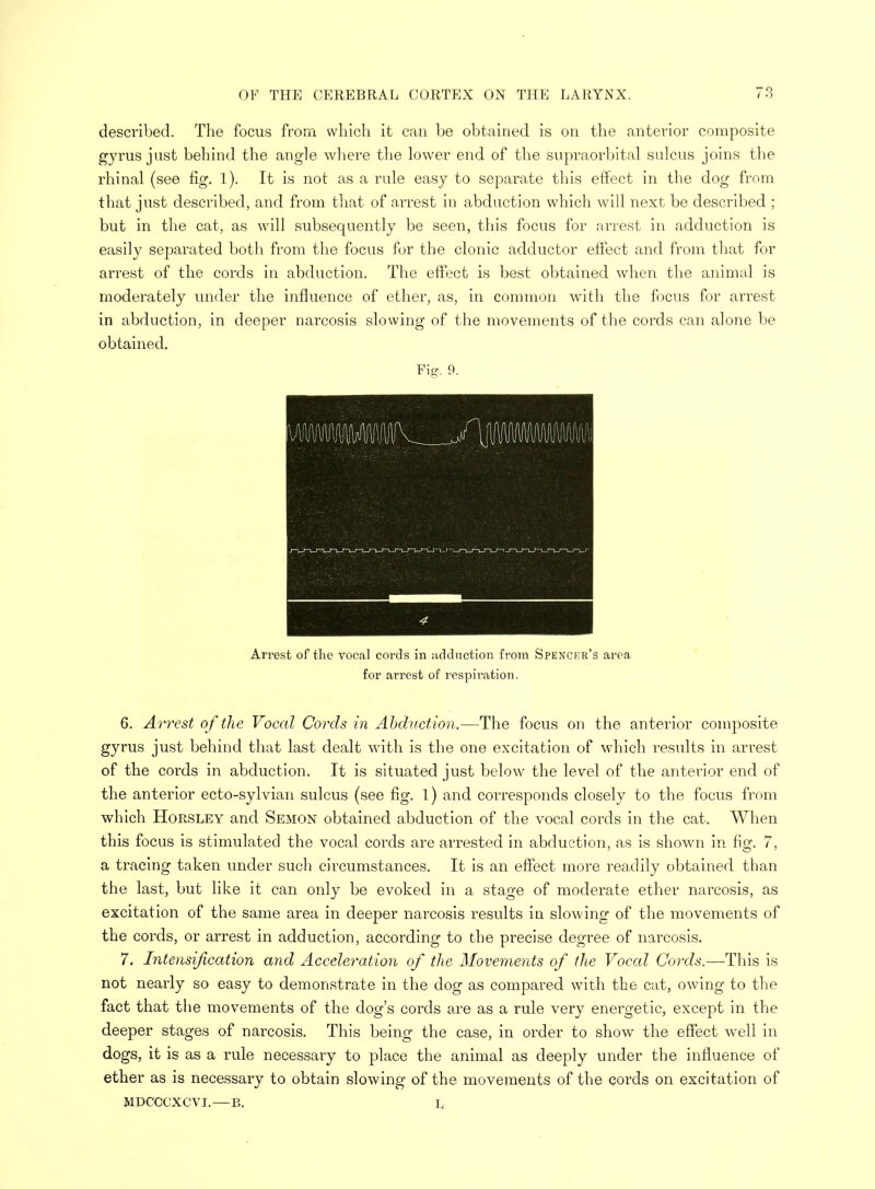 described. The focus from which it can be obtained is on the anterior composite gyrus just behind the angle where the lower end of the supraorbital sulcus joins the rhinal (see fig. 1). It is not as a rule easy to separate this effect in the dog from that just described, and from that of arrest in abduction which will next be described ; but in the cat, as will subsequently be seen, this focus for arrest in adduction is easily separated both from the focus for the clonic adductor effect and from that for arrest of the cords in abduction. The effect is best obtained when the animal is moderately under the influence of ether, as, in common with the focus for arrest in abduction, in deeper narcosis slowing of the movements of the cords can alone be obtained. Fig. 9. Arrest of the vocal cords in adduction from Spencer's area for arrest of respiration. 6. Arrest of the Vocal Cords in Abduction.—The focus on the anterior composite gyrus just behind that last dealt with is the one excitation of which results in arrest of the cords in abduction. It is situated just below the level of the anterior end of the anterior ecto-sylvian sulcus (see fig. 1) and corresponds closely to the focus from which Horsley and Semon obtained abduction of the vocal cords in the cat. When this focus is stimulated the vocal cords are arrested in abduction, as is shown in fig. 7, a tracing taken under such circumstances. It is an effect more readily obtained than the last, but like it can only be evoked in a stage of moderate ether narcosis, as excitation of the same area in deeper narcosis results in slowing of the movements of the cords, or arrest in adduction, according to the precise degree of narcosis. 7. Intensification and Acceleration of the Movements of the Vocal Cords.—This is not nearly so easy to demonstrate in the dog as compared with the cat, owing to the fact that the movements of the dog's cords are as a rule very energetic, except in the deeper stages of narcosis. This being the case, in order to show the effect well in dogs, it is as a rule necessary to place the animal as deeply under the influence of ether as is necessary to obtain slowing of the movements of the cords on excitation of MDCCCXCVI.—B. I,