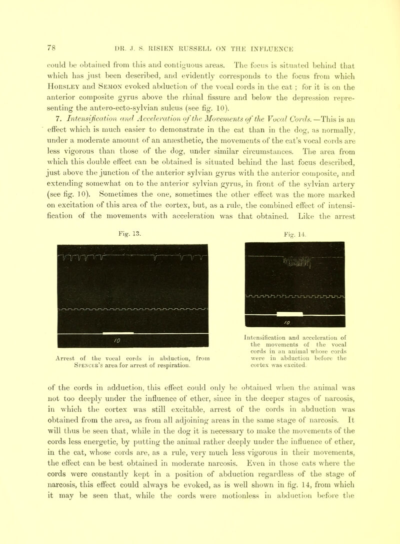 could be obtained from this and contiguous areas. The focus is situated behind that which has just been described, and evidently corresponds to the focus from which Horsley and Semon evoked abduction of the vocal cords in the cat ; for it is on the anterior composite gyrus above the rhinal fissure and below the depression repre- senting the antero-ecto-sylvian sulcus (see fig. 10). 7. Intensification and Acceleration of the Movements of the Vocal Cords. —This is an effect which is much easier to demonstrate in the cat than in the dog, as normally, under a moderate amount of an anaesthetic, the movements of the cat's vocal cords are less vigorous than those of the dog, under similar circumstances. The area from which this double effect can be obtained is situated behind the last focus described, just above the junction of the anterior sylvian gyrus with the anterior composite, and extending somewhat on to the anterior sylvian gyrus, in front of the sylvian artery (see fig. J 0). Sometimes the one, sometimes the other effect was the more marked on excitation of this area of the cortex, but, as a rule, the combined effect of intensi- fication of the movements with acceleration was that obtained. Like the arrest Arrest of the vocal cords in abduction, from Spencer's area for arrest of respiration. Intensification and acceleration of the movements of the vocal cords in an animal 'whose cords were in abduction before the cortex was excited. of the cords in adduction, this effect could only be obtained when the animal was not too deeply under the influence of ether, since in the deeper stages of narcosis, in which the cortex was still excitable, arrest of the cords in abduction was obtained from the area, as from all adjoining areas in the same stage of narcosis. It will thus be seen that, while in the dog it is necessary to make the movements of the cords less energetic, by putting the animal rather deeply under the influence of ether, in the cat, whose cords cLro; cis fi rule, very much less vigorous in their movements, the effect can be best obtained in moderate narcosis. Even in those cats where the cords were constantly kept in a position of abduction regardless of the stage of narcosis, this effect could always be evoked, as is well shown in fig. 14, from which it may be seen that, while the cords were motionless in abduction before the