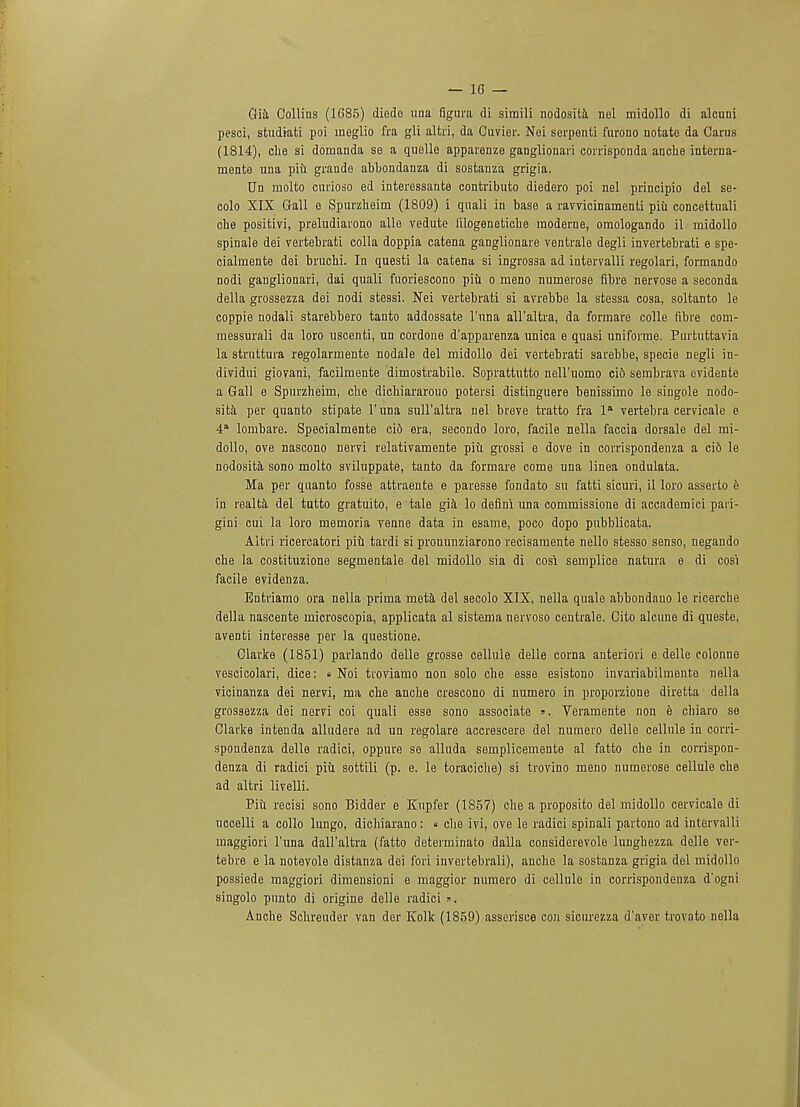 Gt'ih Collins (1C85) diodo una figura di simili nodosita nel midollo di alcuni pesci, studiati poi meglio fra gli altri, da Cuvier. Nei serpenti furono notate da Carus (1814), clie si domanda se a quolle apparenze ganglionai'i coirisponda anche interna- mente una piu grande abbondanza di sostanza grigia. Un raolto curioso ed interessante contributo diedero poi nel principio del se- colo XIX G-all e Spurzheim (1809) i quali in base a ravvicinamenti piu concettuali che positivi, preludiarono alle vedute lilogeneticbe raoderne, omologando il midollo spinale dei vertebrati colla doppia catena ganglionare ventrale degli invertebrati e spe- cialmente dei bruchi. In questi la catena si ingrossa ad intervalli regolari, formando nodi ganglionai'i, dai quali fuoriescono piu o meno numerose fibre nervose a seconda della grossezza dei nodi stessi. Nei vertebrati si avrebbe la stessa cosa, soltanto le coppie nodali starebbero tanto addossate l'una all'altra, da forraare colle fibre com- messurali da loro uscenti, un cordone d'apparenza unica e quasi uniforme. Purtuttavia la struttura regolarmente nodale del midollo dei vertebrati sarebbe, specie negli in- dividui giovani, facilmente dimostrabile. Soprattutto nell'uomo ci6 sembrava evidente a Gall e Spurzheim, cbe dichiararouo potersi distinguere benissimo le singole nodo- sita per quanto stipate l'una sull'altra nel breve tratto fra la vertebra cervicale e 4 lombare. Specialmente ci6 era, secondo loro, facile nella faccia dorsale del mi- dollo, ove nascono nervi relativamente piu grossi e dove in corrispondenza a ci6 le nodosita sono molto sviluppate, tanto da formare come una linea ondulata. Ma per quanto fosse attraente e paresse fondato su fatti sicuri, il loro asserto e in realta del tutto gratuito, e tale gia lo defini una commissione di accademici pari- gini cui la loro memoria venne data in esame, poco dopo pubblicata. Altri ricercatori piu tardi si pronunziarono recisamente nello stesso senso, negando che la costituzione segmentale del midollo sia di cosi semplice natura e di cosi facile evidenza. Entriamo ora nella prima meta del secolo XIX, nella quale abbondano le ricerche della nascente microscopia, applicata al sistema nervoso centrale. Cito alcune di queste, aventi interesse per la questione. Clarke (1851) parlando delle grosse cellule delle corna anteriori e delle colonne vescicolari, dice: « Noi troviamo non solo che esse esistono invariabilmente nella vicinanza dei nervi, ma che anche crescono di numero in proporzione diretta della grossezza dei nervi coi quali esse sono associate ». Veramente non e chiaro se Clarke intenda alludere ad un regolare accrescere del numero delle cellule in corri- spondenza delle radici, oppure se alluda semplicemente al fatto che in corrispon- denza di radici piu sottili (p. e. le toraciche) si trovino meno numerose cellule che ad altri livelli. Piu recisi sono Bidder e Kupfer (1857) che a proposito del midollo cervicale di uccelli a collo lungo, dichiarano: « che ivi, ove le radici spinali partono ad intervalli maggiori l'una dall'altra (fatto determinato dalla considerevole lunghezza delle ver- tebre e la notevole distanza dei fori invertebrali), anche la sostanza grigia del midollo possiede maggiori dimensioni e maggior numero di cellule in corrispondenza d'ogni singolo pnnto di origine delle radici Anche Schreuder van der Kolk (1859) asserisee con sicurezza d'aver trovato nella