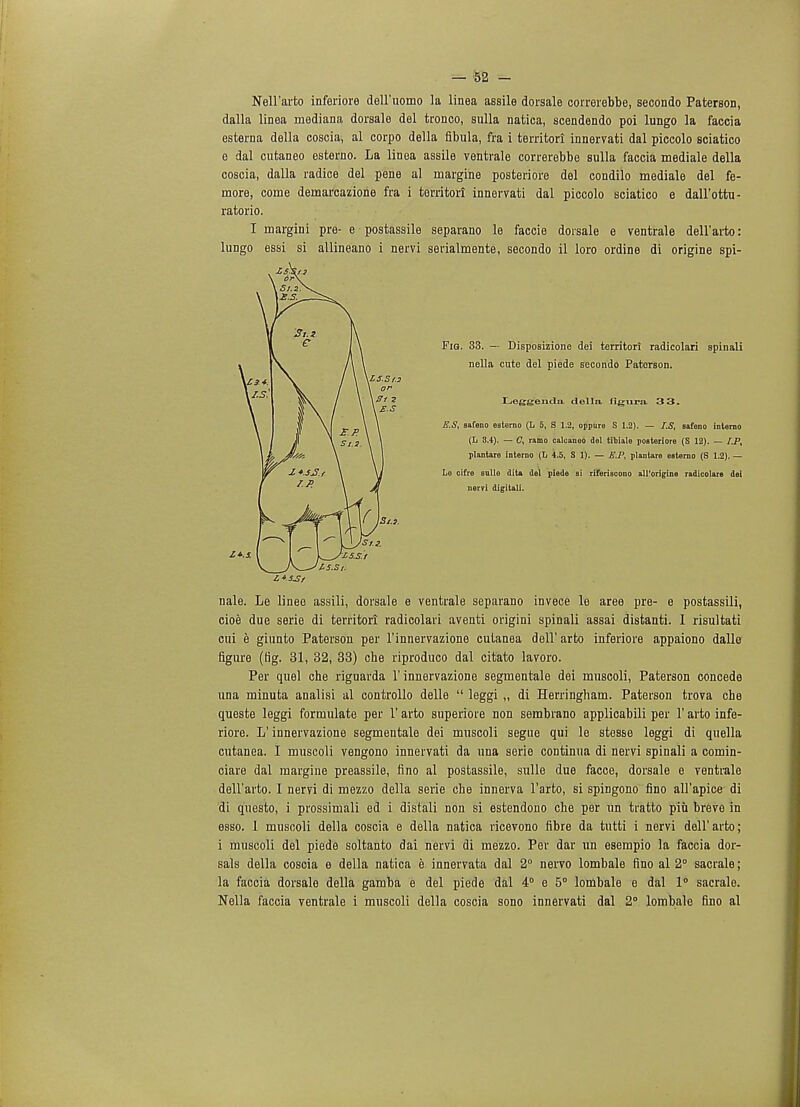 Nell'arto inferiore dell'uomo la linea assile dorsale correrebbe, secondo Paterson, dalla linea niediana dorsale del tronco, sulla natica, scendendo poi lungo la faccia esterna della coscia, al corpo della fibula, fra i territori innervati dal piccolo sciatico e dal cutaneo esterno. La linea assile ventrale correrebbe sulla faccia mediale della coscia, dalla radice del pene al margine posteriore del condilo mediale del fe- more, come deinarcazione fra i territori innervati dal piccolo sciatico e dall'ottu- ratorio. I margini pre- e postassile separano le faccie dorsale e ventrale dell'arto: lungo essi si allineano i nervi serialmente, secondo il loro ordine di origine spi- nale. Le linee assili, dorsale e ventrale separano invece le aree pre- e postassili, cioe due serie di territori radicolari aventi origini spinali assai distanti. I risultati cui e giunto Paterson per l'innervazione cutanea dell'arto inferiore appaiono dalle figure (fig. 31, 32, 33) che riproduco dal citato lavoro. Per quel che riguarda 1' innervazione segmentale dei muscoli, Paterson concede una minuta analisi al controllo delle  leggi „ di Herringham. Paterson trova che queste leggi formulate per 1' arto superiore non sembrano applicabili per 1' arto infe- riore. L'innervazione segmentale dei muscoli segue qui le stesse leggi di quella cutanea. I muscoli vengono innervati da una serie continua di nervi spinali a comin- ciare dal margine preassile, fino al postassile, sulle due facce, dorsale e ventrale dell'arto. I nervi di mezzo della serie che innerva l'arto, si spingono fino all'apice di di questo, i prossimali ed i distali non si estendono che per un tratto piu breve in esso. 1 muscoli della coscia e della natica ricevono fibre da tutti i nervi dell'arto; i muscoli del piede soltanto dai nervi di mezzo. Per dar un esempio la faccia dor- sals della coscia e della natica e innervata dal 2° nervo lombale fino al 2° sacrale; la faccia dorsale della gamba e del piede dal 4° e 5° lombale e dal 1° sacrale. Nella faccia ventrale i muscoli della coscia sono innervati dal 2° lombale fino al Fig. 33. — Disposizione dei territori radicolari spinali nella cute del piede secondo Paterson. E.S, safeno estorno (L 5, S 1.2, oppure S 1.2). — I.S, safeno interact (L 3.4). — C, ramo cakanoo del tibiale posteriore (S 12). — IJ>, plantaro interno (L 4.5, S 1). — E.P, plantare esterno (S 1.2). — Leggencla. delln. figura 3 3.