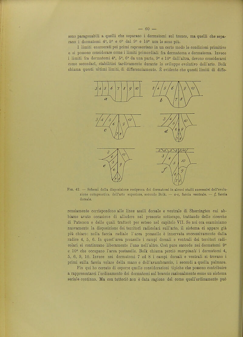 sono paragonabili a quelli che soparano i dormatomi sul tronco, ma quelli che sepa- rano i dermatomi 4°, 5° e (3° dal 9° e 10° non lo sono piii. I limiti enumerati pei primi rapresentano in un certo modo le condizioni primitive e si possono considorare come i limiti primordiali fra dermatoma o dermatoma. Invece i limiti fra dermatomi 4°, 5°, 6 da una parte, 9° e 10° dall'altra, devono considerarsi come secondari, stabilitisi tardivamente durante lo sviluppo evolutivo dellarto. Bolk chiama questi ultimi limiti, di differenziamento. evidente che questi limiti di diffe- renziamento corrispondono alle linee assili dorsale e ventrale di Sherrington cui ab- biamo avuto occasione di alludere nel presente sottocapo, trattando delle ricerche di Paterson e delle quali tratter6 per esteso nel capitolo VII. Se noi ora esaminiamo nuovamente la disposizione dei territori radicolari sull'arto, il sistema ci appare gia piu chiaro: nella faccia radiale l'area preassile e innervata snccessivamente dalla radice 4, 5, 6. In quest' area preassile i campi dorsali e yentrali dei territori radi- colari si continuano liberamente l'uno nell'altro. Cosi pure succede nei dermatomi 9° e 10° che occupano l'area postassile. Bolk chiama percio marginali i dermatomi 4, 5, 6, 9, 10. Invece nei dermatomi 7 ed 8 i campi dorsali e ventrali si trovano i primi sulla faccia volare della mano e dell'avambraccio, i secondi a quella palmare. J?in qui ho cercato di esporre quelle considerazioni tipiche che possono contribuire a rappresentarci l'ordinamento dei dermatomi sul braccio razionalmente come un sistema seriale continuo. Ma con tuttocid non e data ragione del come quell'ordinamento pud