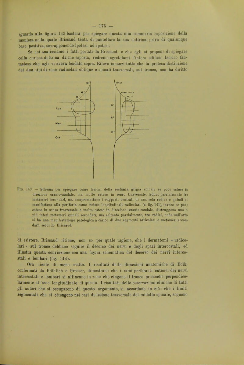 sguardo alia figura 148 bastera per spiegare questa mia sommaria esposizione della inaniera nella quale Brissaud tenta di puntellare la sua dottrina, priva di qualunque base positiva, sovrapponendo ipotesi ad ipotesi. Se noi analizziamo i fatti portati da Brissaud, e che egli si propone di spiegare colla curiosa dottrina da me esposta, vedremo sgretolarsi l'intero edifizio teorico fan- tasioso che egli vi aveva fondato sopra. Rilevo innanzi tutto che la pretesa distiuzione dei due tipi di zone radicolari oblique e spinali trasversali, sul tronco, non ha diritto Fig. 143. — Schema per spiegare come lesioni della sostanza grigia spinale se poco estese in direzione cranio-caudale, ma molto estese in senso trasversale, ledono parzialmente tre metameri secondari, ma compromettono i rapporti centrali di una sola radice e qnindi si manifestano alia periferia come strisce longitudinali radicolari (v. fig. 141), invece se poco estese in senso trasversale e molto estese in direzione cranio-caudale, distruggono uno o piii interi metameri Bpinali secondari, ma soltanto parzialmente, tre radici, onde snU'arto si ha una manifostazione patologica a carico di due segmenti articolari o metameri secon- dary secondo Brissaud. di esistere. Brissaud ritiene, non so per quale ragione, che i dermatomi « radico- lari « sul tronco debbano seguire il decorso dei nervi e degli spazi intercostali, ed illustra questa convinzione con una figura schematica del decorso dei nervi interco- stali e lombari (fig. 144). Ora niente di meno esatto. I risultati delle dissezioni anatomiche di Bolk. confermati da Prohlich e Grosser, dimostrano che i rami perforanti cutanei dei nervi intercostali e lombari si allineano in zone che cingono il tronco pressoche perpendico- larmente all'asse longitudinale di questo. I risultati delle osservazioni cliniche di tutti gli autori che si occuparono di questo argomento, si accordano in cid: che i limiti segmentali che si ottengono nei casi di lesione trasversale del midollo spinale, seguono