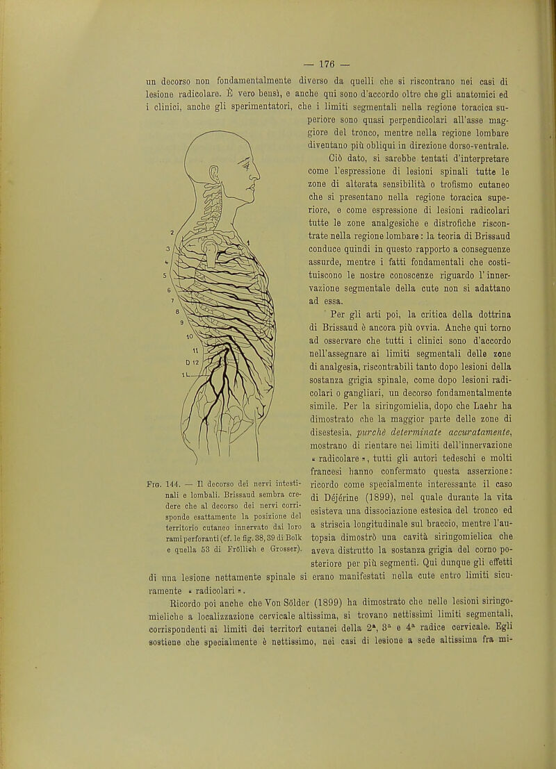 un decorso non fondamentalmente diverso da quelli clie si riscontrano nei casi di lesione radicolare. fi vero bensi, e anche qui sono d'accordo oltre che gli anatomici ed i clinici, anche gli sperimentatori, che i limiti segmentali nella regione toracica su- periore sono quasi perpendicolari all'asse mag- giore del tronco, mentre nella regione lombare diventano piu obliqui in direzione dorso-ventrale. Ci6 dato, si sarebbe tentati d'interpretare come l'espressione di lesioni spinali tutte le zone di altorata sensibilita o trofismo cutaneo che si presentano nella regione toracica supe- riore, e come espressione di lesioni radicolari tutte le zone analgesiche e distrofiche riscon- trate nella regione lombare: la teoria di Brissaud conduce quindi in questo rapporto a conseguenze assurde, mentre i fatti fondamentali che costi- tuiscono le nostre conoscenze riguardo l'inner- vazione segmentale della cute non si adattano ad essa. ' Per gli arti poi, la critica della dottrina di Brissaud e ancora piu ovTia. Anche qui torno ad osservare che tutti i clinici sono d'accordo nell'assegnare ai limiti segmentali delle zone di analgesia, riscontrabili tanto dopo lesioni della sostanza grigia spinal e, come dopo lesioni radi- colari o gangliari, un decorso fondamentalmente simile. Per la siringomielia, dopo che Laehr ha dimostrato che la maggior parte delle zone di disestesia, purehd determinate accuratamente, mostrano di rientare nei limiti dell'innervazione « radicolare», tutti gli autori tedeschi e molti francesi hanno confermato questa asserzione: ricordo come specialmente interessante il caso di Dejerine (1899), nei quale durante la vita esisteva una dissociazione estesica del tronco ed a striscia longitudinale sul braccio, mentre l'au- topsia dimostr6 una cavita siringomielica che aveva distrutto la sostanza grigia del corno po- steriore per piu segmenti. Qui dunque gli effetti di una lesione nettamente spinale si erano manifestati nella cute entro limiti sicu- raraente « radicolari». Ricordo poi anche che Von Solder (1899) ha dimostrato che nelle lesioni siringo- mieliche a localizzazione cervicale altissima, si trovano nettissimi limiti segmentali, corrispondenti ai limiti dei territori cutanei della 2», 3a e 4a radice cervicale. Egli sostiene che specialmente e nettissimo, nei casi di lesione a sede altissima fra mi- Fig. 144, nali — II decorso dei nervi intesti- e lombali. Brissaud sembra cre- dere che al decorso dei nervi corri- sponde esattamente la posizione del territorio cutaneo innervato dai loro ramiperforanti (cf. le fig. 38,39 di Bolk e quella 53 di FrCllich e Grosser).