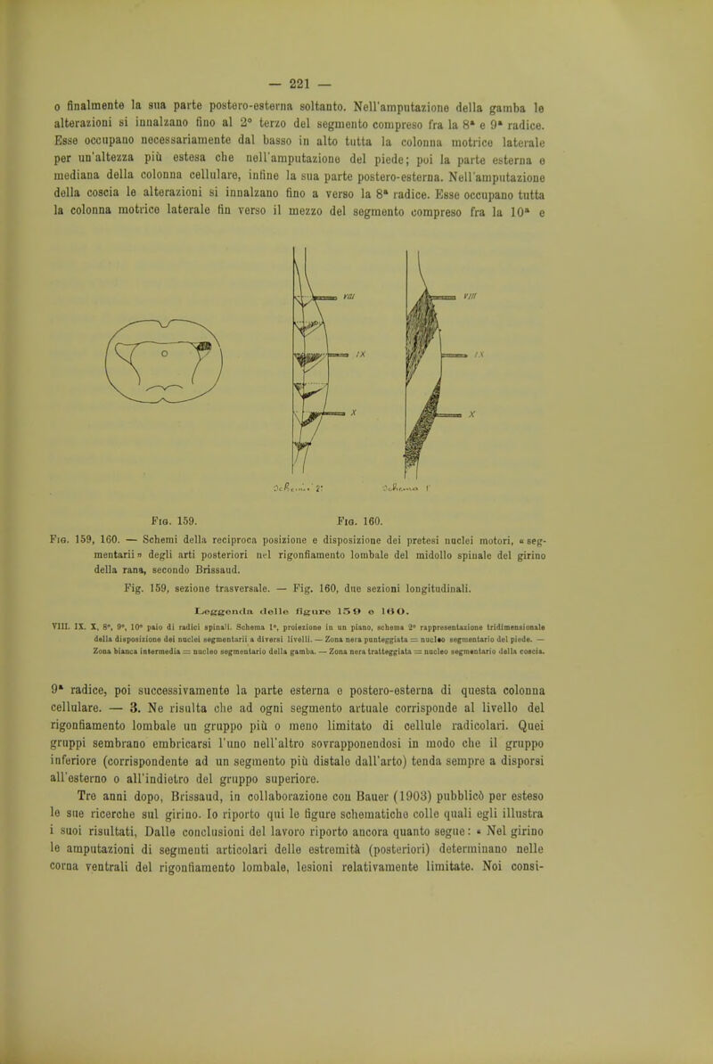 o finalmente la sua parte postero-esterna soltanto. Nell'amputazione della gamba le alterazioni si inualzano fino al 2° terzo del segmento compreso fra la 8a e 9» radice. Esse occupano nocessariamente dal basso in alto tiitta la colonna motrice laterale per un'altezza piu estesa che uoll'amputazione del piede; poi la parte esterna o mediana della colonna cellulare, inline la sua parte postero-esterna. Nell'amputazione della coscia le alterazioni si innalzano fino a verso la 8a radice. Esse occupano tutta la colonna motrice laterale fin verso il mezzo del segmento compreso fra la 10» e Fig. 159. Fio. 160. Fig. 159, 160. — Schemi della reciproca posizione e disposizione dei pretesi naclei motori, « seg- mentarii » degli arti posteriori nel rigonfiaraento lombale del midollo spinale del girino della rana, secondo Brissaud. Fig. 159, sezione trasversale. — Fig. 160, dne sezioni longitudinali. Leggonda delle figure 159 e 160. VIII. IX. X, 8, 9°, 10° paio di radici spinalt. Schema 1°, proiezione in un piano, schema 2° rappresentazione tridimensionale della disposizione dei nuclei eegmentarii a dlverai livelli. — Zona nera punteggiata — nuclto segmenUrio del piede. — Zona bianca intermedia = nucleo segmenUrio della gamba. — Zona nera tratteggiata = nacleo segmentario della coscia. 9* radice, poi successivamente la parte esterna o postero-esterna di questa colonna cellulare. — 3. Ne risulta che ad ogni segmento artuale corrisponde al livello del rigonfiamento lombale un gruppo piu o meno limitato di cellule radicolari. Quei gruppi sembrano embricarsi l'uno nell'altro sovrapponendosi in modo che il gruppo inferiore (corrispondente ad un segmento piu distale dall'arto) tenda sempre a disporsi all'osterno o all'indiolro del gruppo superiore. Tro anni dopo, Brissaud, in collaborazione con Bauer (1903) pubblicd per esteso le sue ricerche sul girino. Io riporto qui le figure schematicho colic quali egli illustra i suoi risultati, Dalle conclusioni del lavoro riporto ancora quanto segue: « Nel girino le amputazioni di segmeuti articolari delle estreraita (posteriori) determinano nelle coma ventrali del rigonfiaraento lombale, lesioni relativamente limitate. Noi consi-