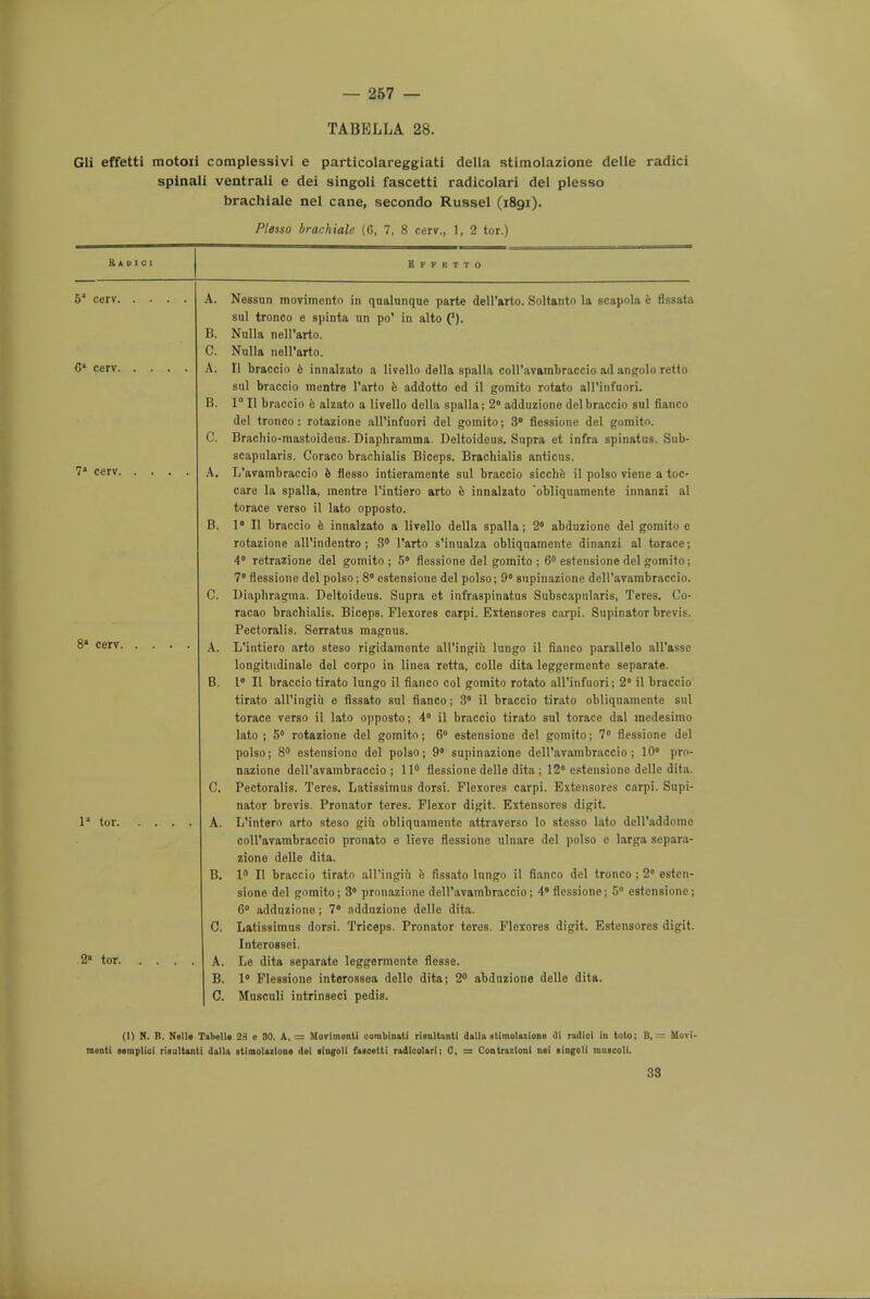 TABELLA 28. Gli effetti motoii complessivi e particolareggiati della stimolazione delle radici spinali ventrali e dei singoli fascetti radicolari del plesso brachiale nel cane, secondo Russel (1891). Plesso brachiale (6, 7, 8 cerv., 1, 2 tor.) Radio! H f f e t t 0 B. Nessun movimento in qualanque parte dell'arto. Soltanto la scapola e flsaata sul tronco e spinta un po' in alto ('). Nulla nell'arto. Nulla noll'arto. II braccio e innalzato a livello della spalla coll'avambraccio ad angolo retlo sul braccio mentre l'arto e addotto ed il gomito rotato aH'infnori. 1° II braccio e alzato a livello della spalla; 2° adduzione del braccio sul fianco del tronco: rotazione all'infuori del gomito; 3° fiessione del gomitn. Brachio-mastoideus. Diapbramma. Deltoideus. Supra et infra spinatus. Sub- scapularis. Coraco brachials Biceps. Bracbialis antiens. A. L'avambraccio e flesso intieramente sul braccio sicche il polso viene a toc- caro la spalla, mentre l'intiero arto e innalzato obliquamente innanzi al torace verso il lato opposto. 1° II braccio e innalzato a livello della spalla; 2° abduzione del gomito e rotazione all'indentro ; 3° l'arto s'inualza obliquamente dinanzi al torace; 4° retrazione del gomito; 5° fiessione del gomito ; 6° estensione del gomito; 7° fiessione del polso; 8 estensione del polso; 9° snpinazione dell'avambraccio. Diiipbragma. Deltoideus. Supra et infraspinatus Subscapularis, Teres. Co- racao bracbialis. Biceps. Flexores carpi. Extensores carpi. Supinator brevis. Pectoralis. Serratus magnus. L'intiero arto steso rigidamente all'ingiii lungo il fianco parallelo all'asse longitudinale del corpo in linea retta, colle dita leggermente separate. 1° II braccio tirato lungo il fianco col gomito rotato all'infuori; 2° il braccio tirato all'ingiii e fissato sul fianco; 3° il braccio tirato obliquamente sul torace verso il lato opposto; 4° il braccio tirato sul torace dal medesimo lato ; 5° rotazione del gomito; 6° estensione del gomito; 7° fiessione del polso; 8° estensione del polso; 9° supinazione dell'avambraccio; 10° pro- nazione dell'avambraccio; 11° fiessione delle dita; 12° estensione delle dita. Pectoralis. Teres. Latissimus dorsi. Flexores carpi. Extensores carpi. Supi- nator brevis. Pronator teres. Flexor digit. Extensores digit. L'intero arto steso giii obliquamente attraverso lo stesso lato dell'addome coll'avambraccio pronato e lieve fiessione ulnare del polso c larga separa- zione delle dita. 1° II braccio tiratn all'ingiii e fissato lungo il fianco del tronco ; 2° esten- sione del gomito; 3 pronazione dell'avambraccio; 4 fiessione; 5° estensione; 6° adduzione; 7° ndduzione delle dita. Latissimus dorsi. Triceps. Pronator teres. Flexores digit. Estcnsores digit. Interossei. A. Le dita separate leggermente flcsse. B. I Fiessione interossea dello dita; 2° abduzione delle dita. C. MuBCuli intrinseci pedis. B. C. (1) If. !). Nolle Tabelle 23 e 30. A, — MoTimenti combinatl rlsnltanM dalla stimolazione <li radlcl in toto; B, — Movi- raenti straplici riiulUntl dalU sttmoUztoao del ilagoll faicettl radicolari; 0, = Cotttrazlont nel slngoU niUBeoli. 33