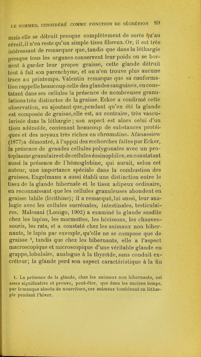 mais elle se d^truit presque coraplfetement de sorle qu'au r6veil,il n'en restequ'un simple tissu libreux.Or, il est tres int^ressant de remarquer que,tandis que dans la 16Lhargie presque tous les organes conservent leur poids ou se bor- nent h garder leur propre graisse, cette glande d6truit tout a fait son parenchyme, et on n'en trouve plus aucune trace an printemps. Valentin remarque que sa conforma- tion rappelle beaucoup celle des glandes sanguines, en cons- tatant dans ses cellules la presence de nombreuses granu- lations tres distinctes de la graisse. Ecker a conrirm6 cette observation, en ajoutant que,pendant qu'en 6t6 la glande est compos6e de graisse,elle est, au contraire, tres vascu- larisee dans la lethargic; son aspect est alors celui d'un tissu ad^noide, contenant beaucoup de substances protei- ques et des noyaux Irbs riches en chromatine. Afanassiew (1877) a demontr6, a I'appui des recherches faites par Ecker, la presence de grandes cellules polygonales avec un pro- toplasme granulaireetde cellules 6osinophiles, en constatant aussi la presence de I'hemoglobine, qui aurait, selon cet auteur, une importance sp6ciale dans la combustion des graisses. Engelmann a aussi 6tabli une distinction entre le tissu de la glande hibernate et le tissu adipeux ordinaire, en reconnaissant que les cellules granuleuses abondent en graisse labile (lecithine); il a remarqu6,lui aussi, leur ana- logic avec les cellules surr6nales, intestinales, testiculai- res. Malesani (Lonigo, 1902) a examine la glande susdite chez les lapins, les marraottes, les herissons, les chauves- souris, les rats, et a constat6 chez les animaux non hiber- nants, le lapin par exemple, qu'elle ne se compose que de graisse *, tandis que chez les hibernants, elle a I'aspect macroscopique et microscopique d'une veritable glande en grappe,lobulaire, analogue k la thyro'ide, sans conduit ex- cr^teur; la glande perd son aspect caract6ristique k la fin 1. La prdsence de la glande, chez les animaux non hibernants, est assez significative ct prouve, peut-ctre, que dans les anciens temps, par le manque absolu de nourriture, ces animaux tomb6rent cn Idthai-- gie pendant I'hivcr,