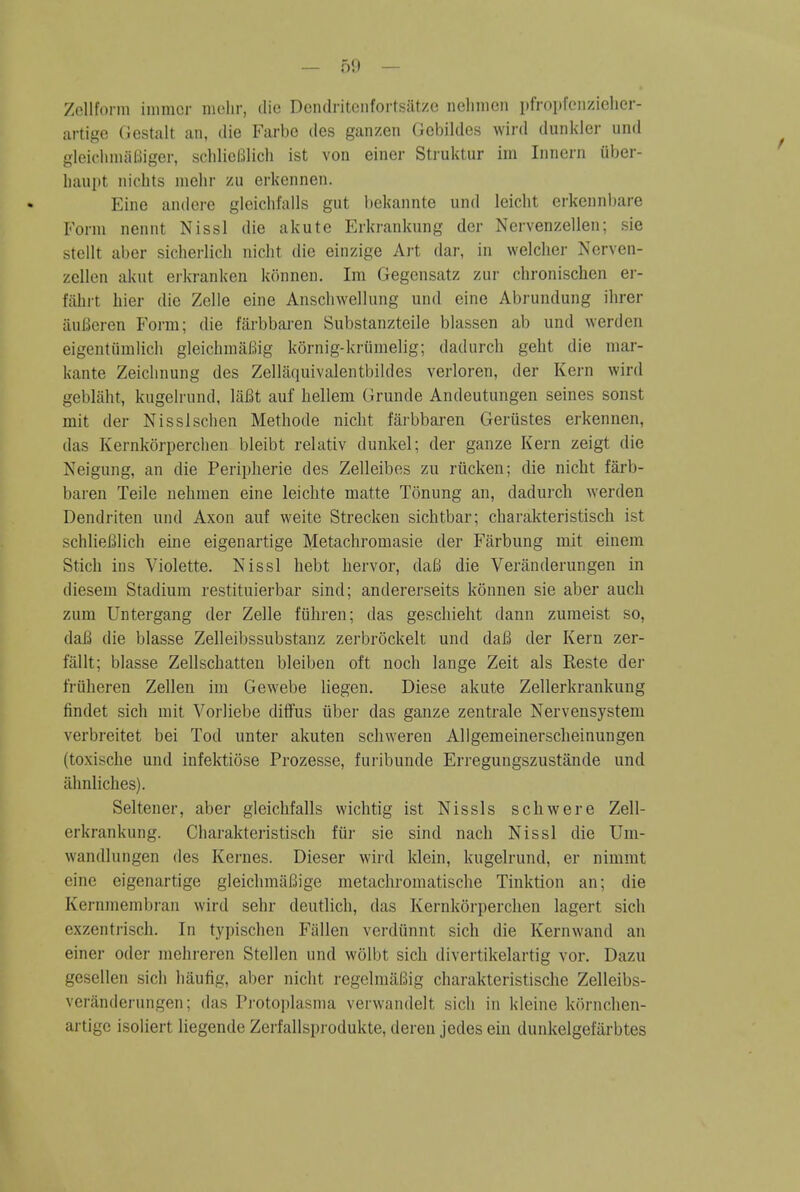 Zellform iinmcr nielir, die Dcndritciifortsatzc iielinien pfroiifenzielier- artige Gestalt an, die Farbe des ganzen Gcbildes wird dunkler und gleiclinuiKiger, schlicBlich ist von einer Struktur im Innern uber- l)aui)t nichts mehr zu erkennen. Eine andere gleiclifalls gut hekannte und leicht erkennl)are Form nennt Nissl die akute Erkrankung der Nervenzellen; sie stellt aber sicherlich niclit die einzige Art dar, in welclier Nerven- zellen akut erkranken konnen. Im Gegcnsatz zur chronischen er- fahrt hier die Zelle eine Anscliwellung und eine Abrundung ilirer iiuBeren Form; die farbbai-en Substanzteile blassen ab und werden eigentumlich gleichmiiCiig kornig-kriimelig; dadurch geht die mar- kante Zeiclinung des Zelliiquivalentbildes verloren, der Kern wird geblaht, kugelrund, liiBt auf liellem (irunde Andeutungen seines sonst mit der Nisslschen Methode nicht farbbaren Gerustes erkennen, das Kernkorperchen bleibt relativ dunkel; der ganze Kern zeigt die Neigung, an die Peripherie des Zelleibes zu riicken; die nicht farb- baren Telle nehmen eine leichte matte Tonung an, dadurch werden Dendriten und Axon auf weite Strecken sichtbar; charakteristisch ist schlieBlich eine eigenartige Metachromasie der Farbung mit einem Stich ins Violette. Nissl hebt hervor, da6 die Veranderungen in diesem Stadium restituierbar sind; andererseits konnen sie aber auch zum Untergang der Zelle fiihren; das geschieht dann zumeist so, daB die blasse Zelleibssubstanz zerbrockelt und dafi der Kern zer- fallt; blasse Zellschatten bleiben oft noch lange Zeit als Reste der friiheren Zellen im Gewebe liegen. Diese akute Zellerkrankung findet sich mit Vorliebe diifus iiber das ganze zentrale Nervensystem verbreitet bei Tod unter akuten schweren Aligemeinerscheinungen (toxische und infektiose Prozesse, furibunde Erregungszustande und ahnliches). Seltener, aber gleichfalls wichtig ist Nissls schwere Zell- erkrankung. Charakteristisch fiir sie sind nach Nissl die Um- wandlungen des Kernes. Dieser wird klein, kugelrund, er nimmt eine eigenartige gleichmaBige metachromatische Tinktion an; die Kernmembran wird sehr deutlich, das Kernkorperchen lagert sich exzentrisch. In typischen Fallen verdiinnt sich die Kernwand an einer oder mehreren Stellen und wolbt sich divertikelartig vor. Dazu gesellen sich haufig, aber nicht regelmaBig charakteristische Zelleibs- veranderungen; das Pi-otoplasnia verwandelt sich in kleine kornchen- artigc isoliert liegende Zerfallsprodukte, deren jedes ein dunkelgefarbtes