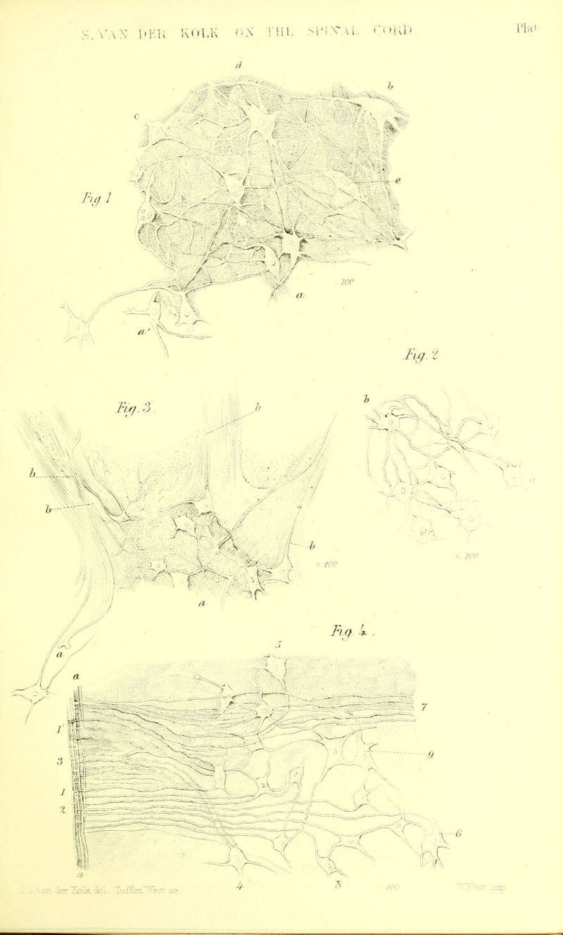 S. WW MR KOLK DIN THE MMNVW. COKD