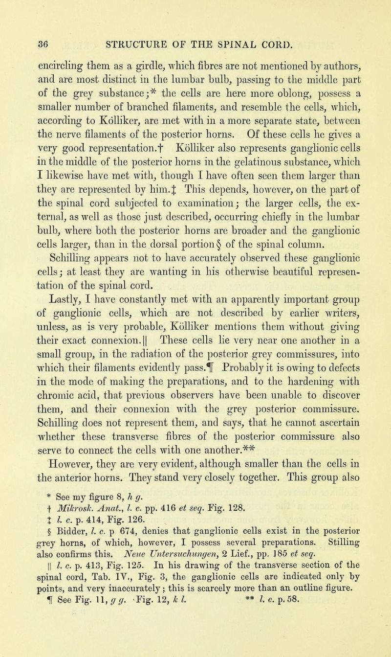 encircling them as a girdle, which fibres are not mentioned by authors, and are most distinct in the lumbar bulb, passing to the middle part of the grey substance;* the cells are here more oblong, possess a smaller number of branched filaments, and resemble the cells, which, according to Kolliker, are met with in a more separate state, between the nerve filaments of the posterior horns. Of these cells he gives a very good representation.f Kolliker also represents ganglionic cells in the middle of the posterior horns in the gelatinous substance, which I likewise have met with, though I have often seen them larger than they are represented by him. J This depends, however, on the part of the spinal cord subjected to examination; the larger cells, the ex- ternal, as well as those just described, occurring chiefly in the lumbar bulb, where both the posterior horns are broader and the ganglionic cells larger, than in the dorsal portion § of the spinal column. Schilling appears not to have accurately observed these ganglionic cells; at least they are wanting in his otherwise beautiful represen- tation of the spinal cord. Lastly, I have constantly met with an apparently important group of ganglionic cells, which are not described by earlier writers, unless, as is very probable, Kolliker mentions them without giving their exact connexion. || These cells lie very near one another in a small group, in the radiation of the posterior grey commissures, into which their filaments evidently pass.1T Probably it is owing to defects in the mode of making the preparations, and to the hardening with chromic acid, that previous observers have been unable to discover them, and their connexion with the grey posterior commissure. Schilling does not represent them, and says, that he cannot ascertain whether these transverse fibres of the posterior commissure also serve to connect the cells with one another.** However, they are very evident, although smaller than the cells in the anterior horns. They stand very closely together. This group also * See my figure 8, h g. t Mikrosk. Anat, I. c. pp. 416 et seq. Fig. 128. % I c. p. 414, Fig. 126. § Bidder, I. c. p 674, denies that ganglionic cells exist in the posterior grey horns, of which, however, I possess several preparations. Stilling also confirms this. Nene Untersuchungen, 2 Lief., pp- 185 et seq. || I. c. p. 413, Fig. 125. In his drawing of the transverse section of the spinal cord, Tab. IV., Fig. 3, the ganglionic cells are indicated only by points, and very inaccurately; this is scarcely more than an outline figure. 1 See Fig. U, g g. -Fig. 12, k I ** I. c. p. 58.