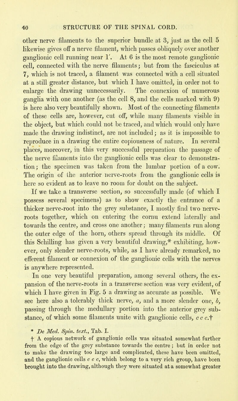 other nerve filaments to the superior bundle at 3, just as the cell 5 likewise gives off a nerve filament, which passes obliquely over another ganglionic cell running near 1'. At 6 is the most remote ganglionic cell, connected with the nerve filaments; but from the fasciculus at 7, which is not traced, a filament was connected with a cell situated at a still greater distance, but which I have omitted, in order not to enlarge the drawing unnecessarily. The connexion of numerous ganglia with one another (as the cell 8, and the cells marked with 9) is here also very beautifully shown. Most of the connecting filaments of these cells are, however, cut off, while many filaments visible in the object, but which could not be traced, and which would only have made the drawing indistinct, are not included; as it is impossible to reproduce in a drawing the entire copiousness of nature. In several places, moreover, in this very successful preparation the passage of the nerve filaments into the ganglionic cells was clear to demonstra- tion ; the specimen was taken from the lumbar portion of a cow. The origin of the anterior nerve-roots from the ganglionic cells is here so evident as to leave no room for doubt on the subject. If we take a transverse section, so successfully made (of which I possess several specimens) as to show exactly the entrance of a thicker nerve-root into the grey substance, I mostly find two nerve- roots together, which on entering the cornu extend laterally and towards the centre, and cross one another; many filaments run along the outer edge of the horn, others spread through its middle. Of this Schilling has given a very beautiful drawing,* exhibiting, how- ever, only slender nerve-roots, while, as I have already remarked, no efferent filament or connexion of the ganglionic cells with the nerves is anywhere represented. In one very beautiful preparation, among several others, the ex- pansion of the nerve-roots in a transverse section was very evident, of which I have given in Tig. 5 a drawing as accurate as possible. We see here also a tolerably thick nerve, a, and a more slender one, h, passing through the medullary portion into the anterior grey sub- stance, of which some filaments unite with ganglionic cells, c c c.f * Be Med. Spin, text., Tab. I. \ A copious network of ganglionic cells was situated somewhat further from the edge of the grey substance towards the centre ; but in order not to make the drawing too large and complicated, these have been omitted, and the ganglionic cells c c c, which belong to a very rich group, have been brought into the drawing, although they were situated at a somewhat greater
