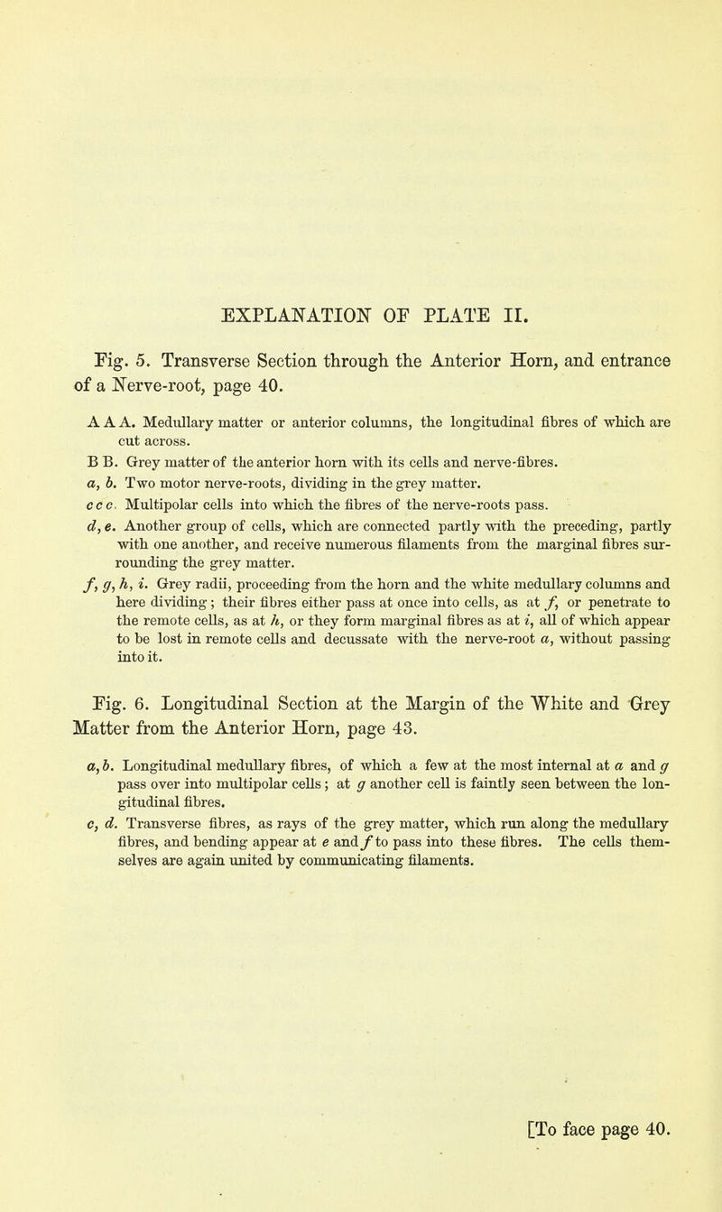 EXPLANATION OF PLATE II. Fig. 5. Transverse Section through the Anterior Horn, and entrance of a Nerve-root, page 40. AAA. Medullary matter or anterior columns, the longitudinal fibres of which are cut across. B B. Grey matter of the anterior horn with its cells and nerve-fibres. a, b. Two motor nerve-roots, dividing in the grey matter. ccc. Multipolar cells into which the fibres of the nerve-roots pass. d, e. Another group of cells, which are connected partly with the preceding, partly with one another, and receive numerous filaments from the marginal fibres sur- rounding the grey matter. f,g,h, i. Grey radii, proceeding from the horn and the white medullary columns and here dividing; their fibres either pass at once into cells, as at f, or penetrate to the remote cells, as at h, or they form marginal fibres as at i, all of which appear to be lost in remote cells and decussate with the nerve-root a, without passing into it. Fig. 6. Longitudinal Section at the Margin of the White and Grey Matter from the Anterior Horn, page 43. a, b. Longitudinal medullary fibres, of which a few at the most internal at a and g pass over into multipolar cells; at g another cell is faintly seen between the lon- gitudinal fibres. c, d. Transverse fibres, as rays of the grey matter, which run along the medullary fibres, and bending appear at e and f to pass into these fibres. The cells them- selves are again united by communicating filaments. [To face page 40.