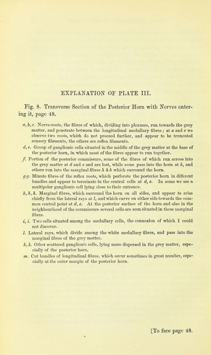 Eig. 8. Transverse Section of the Posterior Horn with Nerves enter- ing it, page 48. a, b, c. Nerve-roots, the fibres of which, dividing into plexuses, run towards the grey- matter, and penetrate between the longitudinal medullary fibres ; at a and c we observe two roots, which do not proceed further, and appear to be truncated sensory filaments, the others are reflex filaments. d, e. Group of ganglionic cells situated in the middle of the grey matter at the base of the posterior horn, in which most of the fibres appear to run together. /. Portion of the posterior commissure, some of the fibres of which run across into the grey matter at d and e and are lost, while some pass into the horn at k, and others run into the marginal fibres h hh which surround the horn. gg. Minute fibres of the reflex roots, which perforate the posterior horn in different bundles and appear to terminate in the central cells at d, e. In some we see a multipolar ganglionic cell lying close to their entrance. h, h, h. Marginal fibres, which surround the horn on all sides, and appear to arise chiefly from the lateral rays at I, and which curve on either side towards the com- mon central point at d, e. At the posterior surface of the horn and also in the neighbourhood of the commissure several cells are seen situated in these marginal fibres. i, i. Two cells situated among the medullary cells, the connexion of which I could not discover. I. Lateral rays, which divide among the white medullary fibres, and pass into the marginal fibres of the grey matter. k, k. Other scattered ganglionic cells, lying more dispersed in the grey matter, espe- cially of the posterior horn. m. Cut bundles of longitudinal fibres, which occur sometimes in great number, espe- cially at the outer margin of the posterior horn.