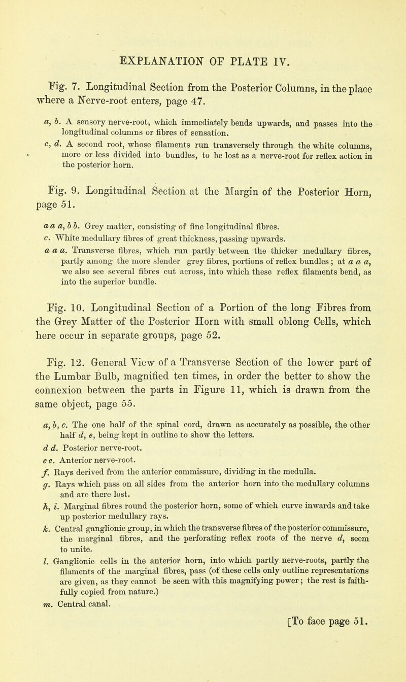 Fig. 7. Longitudinal Section from the Posterior Columns, in the place where a Nerve-root enters, page 47. a,b. A sensory nerve-root, which immediately bends upwards, and passes into the longitudinal columns or fibres of sensation. c, d. A second root, whose filaments run transversely through the white columns, more or less divided into bundles, to be lost as a nerve-root for reflex action in the posterior horn. Fig. 9. Longitudinal Section at the Margin of the Posterior Horn, page 51. a a a,bb. Grey matter, consisting of fine longitudinal fibres. e. White medullary fibres of great thickness, passing upwards. a a a. Transverse fibres, which run partly between the thicker medullary fibres, partly among the more slender grey fibres, portions of reflex bundles ; at a a a, we also see several fibres cut across, into which these reflex filaments bend, as into the superior bundle. Fig. 10. Longitudinal Section of a Portion of the long Fibres from the Grey Matter of the Posterior Horn with small oblong Cells, which here occur in separate groups, page 52. Fig. 12. General Yiew of a Transverse Section of the lower part of the Lumbar Bulb, magnified ten times, in order the better to show the connexion between the parts in Figure 11, which is drawn from the same object, page 55. a, b, c. The one half of the spinal cord, drawn as accurately as possible, the other half d, e, being kept in outline to show the letters. d d. Posterior nerve-root. e e. Anterior nerve-root. f. Rays derived from the anterior commissure, dividing in the medulla. g. Rays which pass on all sides from the anterior horn into the medullary columns and are there lost. h. i. Marginal fibres round the posterior horn, some of which curve inwards and take up posterior medullary rays. k. Central ganglionic group, in which the transverse fibres of the posterior commissure, the marginal fibres, and the perforating reflex roots of the nerve d, seem to unite. I. Ganglionic cells in the anterior horn, into which partly nerve-roots, partly the filaments of the marginal fibres, pass (of these cells only outline representations are given, as they cannot be seen with this magnifying power; the rest is faith- fully copied from nature.) m. Central canal.