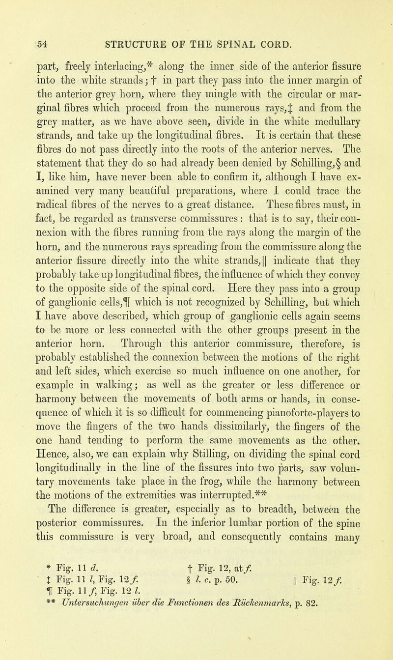 part, freely interlacing,* along the inner side of the anterior fissure into the white strands; t in part they pass into the inner margin of the anterior grey horn, where they mingle with the circular or mar- ginal fibres which proceed from the numerous rays,{ and from the grey matter, as we have above seen, divide in the white medullary strands, and take up the longitudinal fibres. It is certain that these fibres do not pass directly into the roots of the anterior nerves. The statement that they do so had already been denied by Schilling, § and I, like him, have never been able to confirm it, although I have ex- amined very many beautiful preparations, where I could trace the radical fibres of the nerves to a great distance. These fibres must, in fact, be regarded as transverse commissures: that is to say, their con- nexion with the fibres running from the rays along the margin of the horn, and the numerous rays spreading from the commissure along the anterior fissure directly into the white strands, || indicate that they probably take up longitudinal fibres, the influence of which they convey to the opposite side of the spinal cord. Here they pass into a group of ganglionic cells,If which is not recognized by Schilling, but which I have above described, which group of ganglionic cells again seems to be more or less connected with the other groups present in the anterior horn. Through this anterior commissure, therefore, is probably established the connexion between the motions of the right and left sides, which exercise so much influence on one another, for example in walking; as well as the greater or less difference or harmony between the movements of both arms or hands, in conse- quence of which it is so difficult for commencing pianoforte-players to move the fingers of the two hands dissimilarly, the fingers of the one hand tending to perform the same movements as the other. Hence, also, we can explain why Stilling, on dividing the spinal cord longitudinally in the line of the fissures into two parts, saw volun- tary movements take place in the frog, while the harmony between the motions of the extremities was interrupted.** The difference is greater, especially as to breadth, between the posterior commissures. In the inferior lumbar portion of the spine this commissure is very broad, and consequently contains many * Fig. 11 d. f Fig. 12, at/. J Fig. 11 I, Fig. 12/. § I. c. p. 50. || Fig. 12/. 1 Fig. 11 /Fig. 12 I. ** Untersuchungen uber die Functionen des Riichenmarlcs, p. 82.