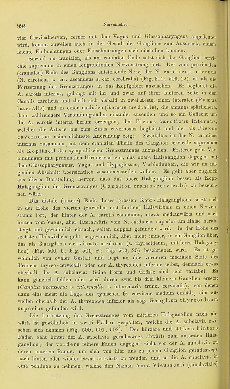 vier Cervicalnerven, ferner mit dem Vagus und Glossopharyngeus angedeutet wird, kommt zuweilen auch in der Gestalt des Ganglions zum Ausdruck, indem leicbte Einbuchtungen oder Einschniirungen sich einstellen konnen. Sowohl am cranialen, als am caudalen Ende setzt sich das Ganglion cervi-' cale supremum in einen longitudinalen Nervenstrang fort. Der vom proximaleu (cranialen) Ende des Ganglions entstehende Nerv, der N. caroticus internus (N. caroticus s. car. ascendens s. car. cerebralis) (Fig. 501; 503, 12), ist als die Portsetzung des Grenzstranges in das Kopfgebiet anzuseben. Er begleitet die A. carotis interna, gelangt mit ibr und zwar auf ibrer binteren Seite in den Caualis caroticus und tbeilt sich alsbald in zwei Aeste, einen lateralen (Ramus lateralis) und in einen medialen (Ramus medialis), die anfangs sparlichere, dann zahlreichere Verbindungsfaden einander zusenden und so ein Geflecbt urn die A. carotis interna herum erzeugen, den Plexus caroticus internus, welcher die Arterie bis zum Sinus cavernosus begleitet und bier als Plexus cav'ernosus seine dicbteste Anordnung zeigt. Zweifellos ist der N. caroticus internus zusammen _ mit dem cranialen' Theile des Ganglion cervicale supremum als Kopftheil des sympathischen Grenzstranges anzuseben. Ersterer gebt Ver- bindungen mit proximalen Hirnnerven ein, das obere Halsganglion dagegen mit dem Glossopharyngeus-, Vagus und Hypoglossus, Verbindungen, die wir im fol- genden Abschnitt ubersichtlich zusanimenstellen wollen. Es gebt aber zugleicli aus dieser Darstellung hervor, dass das obere Halsganglion besser als Kopf- Halsganglion des Grenzstranges (Ganglion cranio - cervi cale) zu bezeich- nen ware. Das distale (untere) Ende dieses grossen Kopf - Halsganglions setzt sich in der Hohe des vierten (zuweilen erst fiint'ten) Halswirbels in einen Nerven- stamm fort, der hinter der A. carotis communis, etwas medianwarts und nach hinten vom Vagus, aber lateralwarts vom N. cardiacus superior am Halse herab- steigt und gewobnlich einfach, selten doppelt gefunden wird. In der Hohe des sechsten Halswirbels geht er gewobnlich, aber nicht immer, in ein Ganglion iiber, das als Ganglion cervicale medium (s. thyreoideum, mittleres Halsgang- lion) (Pig. 500, b; Pig. 501, c'; Pig. 502, 25) beschrieben wird. Es ist ge- wobnlich von ovaler Gestalt und liegt an der vorderen medialen Seite des Truncus thyreo - cervicalis oder der A. thyreoidea inferior selbst, demnacb etwas oberhalb der A. subclavia: Seine Porm und Grosse sind sebr variabel. Es kann ganzlich fehlen oder wird durch zwei bis drei kleinere Ganglien ersetzt {Ganglia accessoria s. intermedia s. intercalaria trunci cervicalis), von denen dann eins meist die Lage des typiscben G- cervicale medium einhalt, eins zu- weilen oberhalb der A. thyreoidea inferior als sog. Ganglion thyreoideum superius gefunden wird. Die Portsetzung des Grenzstranges vom mittleren Halsganglion nach ab- warts ist gewobnlich in zwei Faden gespalten, welche die A. subclavia zwi- schen sich nehmen (Pig. 500, 501, 502). Der kurzere und starkere hintere Faden geht hinter der A. subclavia geradeswegs abwiirts zum untersten Hals- ganglion; der vordere feinere Faden dagegen zieht vor der A. subclavia zu •deren unterem Rande, urn sich von bier aus zu jenem Ganglion geradeswegs nach hinten odei wieder etwas aufwarts zu wenden und so die A. subclavia in ■eine Scblinge zu nehmen, welche den Namen Ansa Vieussenii (subclaviahs)
