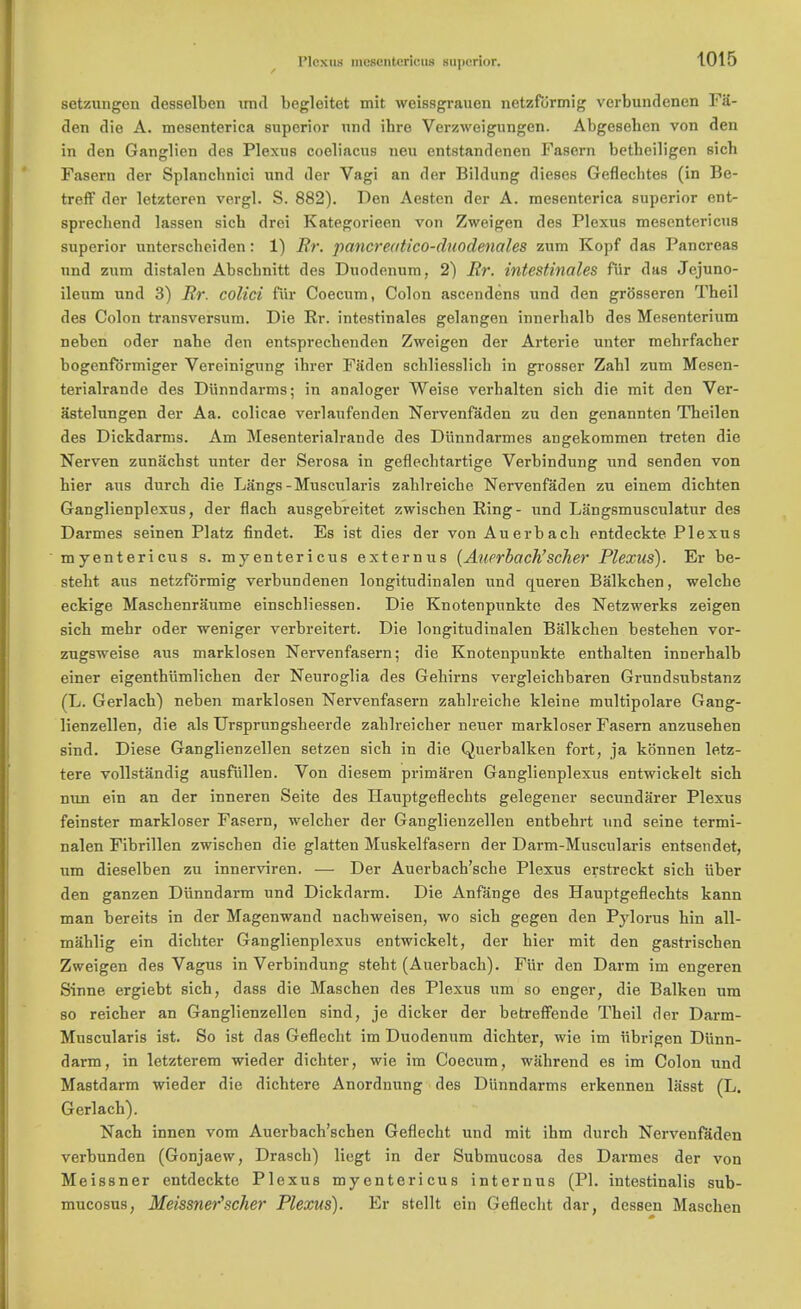 setzungen desselben und begleitet mit weissgrauen netzformig vcrbundenen Fa- den die A. mesenterica superior und ihro Vcrzweigungen. Abgesehen von den in den Ganglien des Plexus coeliacus neu entstandenen Fasern betheiligen sich Fasern der Splanclmici und der Vagi an der Bildung dieses Geflecbtes (in Be- treff der letzteren vergl. S. 882). Den Aesten der A. mesenterica superior ent- sprecbend lassen sich drei Kategorieen von Zweigen des Plexus mesentericus superior unterscbeiden: 1) Rr. pancreatico-duodenales zum Kopf das Pancreas und zum distalen Abscbnitt des Duodenum, 2) Rr. intestinales fur das Jejuno- ileum und 3) Rr. colici fur Coecum, Colon ascendens und den grb'sseren Theil des Colon transversum. Die Rr. intestinales gelangen innerhalb des Mesenterium neben oder nabe den entsprecbenden Zweigen der Arterie unter mebrfacber bogenfdrmiger Vereinigung ihrer Faden scbliesslicb in grosser Zabl zum Mesen- terialrande des Diinndarms; in analoger Weise verbalten sich die mit den Ver- astelungen der Aa. colicae verlaufenden Nervenfaden zu den genannten Theilen des Dickdarms. Am Mesenterialrande des Diinndarmes angekommen treten die Nerven zunachst unter der Serosa in geflecbtartige Verbindung und senden von hier aus durch die Langs-Muscularis zahlreiche Nervenfaden zu einem dichten Ganglienplexus, der flach ausgebreitet zwischen Ring- und Langsmusculatur des Darmes seinen Platz findet. Es ist dies der von Auerbach entdeckte Plexus myentericus s. myentericus externus (Auerbach'scher Plexus). Er be- steht aus netzformig verbundenen longitudinalen und queren Balkchen, welche eckige Mascbenraume einschliessen. Die Knotenpunkte des Netzwerks zeigen sich mehr oder weniger verbreitert. Die longitudinalen Balkchen bestehen vor- zugsweise aus marklosen Nervenfasern; die Knotenpunkte enthalten innerhalb einer eigenthiimlichen der Neuroglia des Gehirns vergleichbaren Grundsubstanz (L. Gerlach) neben marklosen Nervenfasern zahlreiche kleine multipolare Gang- lienzellen, die als Ursprungsheerde zablreicher neuer markloser Fasern anzusehen sind. Diese Ganglienzellen setzen sich in die Querbalken fort, ja konnen letz- tere vollstandig ausfiillen. Von diesem primaren Ganglienplexus entwickelt sich nun ein an der inneren Seite des Hauptgeflecbts gelegener secundarer Plexus feinster markloser Fasern, welcher der Ganglienzellen entbehrt und seine termi- nalen Fibrillen zwischen die glatten Muskelfasern der Darm-Muscularis entsendet, um dieselben zu innerviren. — Der Auerbach'sche Plexus erstreckt sich iiber den ganzen Di'mndarm und Dickdarm. Die Anfange des Hauptgeflecbts kann man bereits in der Magenwand nachweisen, wo sich gegen den Pylorus bin all- mahlig ein dicbter Ganglienplexus entwickelt, der hier mit den gastrischen Zweigen des Vagus in Verbindung steht (Auerbach). Fur den Darm im engeren Sinne ergiebt sich, dass die Maschen des Plexus um so enger, die Balken um so reicher an Ganglienzellen sind, je dicker der betreffende Theil der Darm- Muscularis ist. So ist das Geflecht im Duodenum dichter, wie im iibrigen Di'mn- darm, in letzterem wieder dichter, wie im Coecum, wahrend es im Colon und Mastdarm wieder die dicbtere Anordnung des Diinndarms erkennen lasst (L. Gerlach). Nach innen vom Auerbach'schen Geflecht und mit ihm durch Nervenfaden verbunden (Gonjaew, Drascb) liegt in der Submucosa des Darmes der von Meissner entdeckte Plexus myentericus internus (PI. intestinalis sub- mucosus, Meissner'1 scher Plexus). Er stellt ein Geflecht dar, dessen Maschen