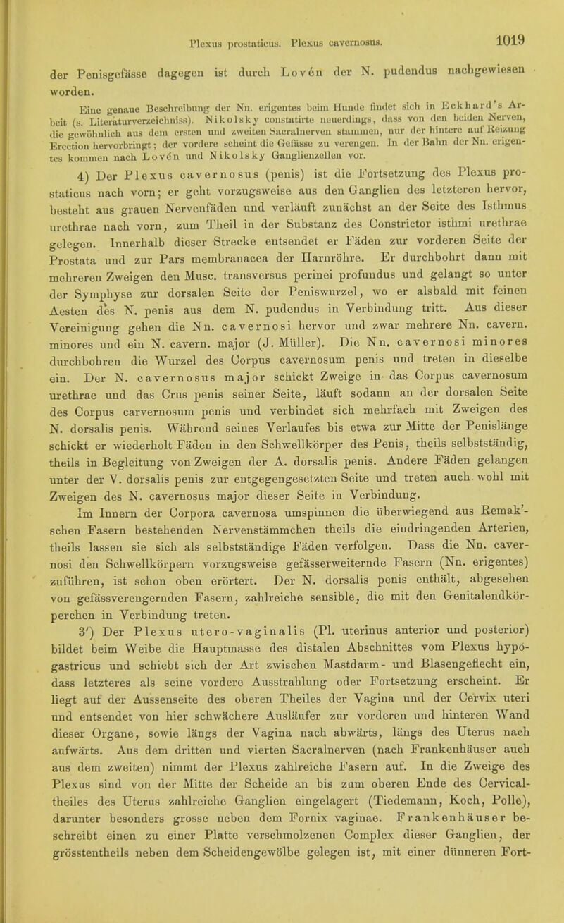 Plexus prostaticus. Plexus eavernosus. der Penisgefasse dagcgen ist durch Loven der N. pudendus nachgewiesen worden. Eiue genaue Beschreibung der Nn. erigentes bcim llundc findet sich in Eck hard's Ar- beit (s. Literaturverzeielmiss). Nikolsky coustatirte neucrdiugs, dass von den beiden, Nerven, die gcwuhnlich aus dem ersten and zweiten Saeralnerven stammen, nur der hintcre auf Keizuug Erection hervorbriugt; der vordere scheint die Gefdsse zu verengen. In der Balin der Nn. erigen- tes komuieu nach Loven und Nikolsky Ganglienzcllen vor. 4) Der Plexus eavernosus (penis) ist die Fortsetzung des Plexus pro- staticus nach vorn; er geht vorzugsweise aus den Ganglien des letzteren hervor, besteht aus grauen Nervenfaden und verlauft zunacbst an der Seite des Isthmus urethrae nach vorn, zum Theil in der Substanz des Constrictor isthmi urethrae gelegen. lnnerhalb dieser Strecke eutsendet er Faden zur vorderen Seite der Prostata und zur Pars membranacea der Harnrohre. Er durchbohrt dann mit mehreren Zweigen den Muse, transversus perinei profundus und gelangt so unter der Sympbyse zur dorsalen Seite der Peniswurzel, wo er alsbald mit feinen Aesten des N. penis aus dem N. pudendus in Verbindung tritt. Aus dieser Vereinigung gehen die Nn. cavernosi hervor und zwar mehrere Nn. cavern, minores und ein N. cavern, major (J. Miiller). Die Nn. cavernosi minores durchbohren die Wurzel des Corpus cavernosum penis und treten in dieselbe ein. Der N. eavernosus major schickt Zweige in das Corpus cavernosum urethrae und das Crus penis seiner Seite, lauft sodann an der dorsalen Seite des Corpus carvernosum penis und verbindet sich mehrfach mit Zweigen des N. dorsalis penis. Wahrend seines Verlaufes bis etwa zur Mitte der Penislange schickt er wiederholt Faden in den Schwellkbrper des Penis, theils selbststandig, theils in Begleitung von Zweigen der A. dorsalis penis. Andere Faden gelangen unter der V. dorsalis penis zur entgegengesetzten Seite und treten auch.wohl mit Zweigen des N. eavernosus major dieser Seite in Verbindung. Im Innern der Corpora cavernosa umspinnen die iiberwiegend aus Keinak'- schen Fasern bestehenden Nervenstarnmchen theils die eiudringenden Arterien, theils lassen sie sich als selbststandige Faden verfolgen. Dass die Nn. caver- nosi den Schwellkorpern vorzugsweise gefasserweiternde Fasern (Nn. erigentes) zufiihren, ist schon oben erortert. Der N. dorsalis penis enthalt, abgesehen von gefassverengernden Fasern, zahlreiche sensible, die mit den Genitalendkor- perchen in Verbindung treten. 3') Der Plexus utero-vaginalis (PI. uterinus anterior und posterior) bildet beim Weibe die Hauptmasse des distalen Abschnittes vom Plexus hypo- gastrics und schiebt sich der Art zwischen Mastdarm- und Blasengeflecht ein, dass letzteres als seine vordere Ausstrahlung oder Fortsetzung erscheint. Er liegt auf der Aussenseite des oberen Theiles der Vagina und der Cervix uteri und entsendet von hier schwachere Ausliiufer zur vorderen und hinteren Wand dieser Organe, sowie liings der Vagina nach abwarts, langs des Uterus nach aufwarts. Aus dem dritten und vierten Saeralnerven (nach Frankenhauser auch aus dem zweiten) nimmt der Plexus zahlreiche Fasern auf. In die Zweige des Plexus sind von der Mitte der Scheide an bis zum oberen Ende des Cervical- theiles des Uterus zahlreiche Ganglien eingelagert (Tiedemann, Koch, Polle), darunter besonders grosse neben dem Fornix vaginae. Frankenhauser be- schreibt einen zu einer Platte verschmolzenen Complex dieser Ganglien, der grosstentheils neben dem Scheidengewolbe gelegen ist, mit einer diinneren Fort-