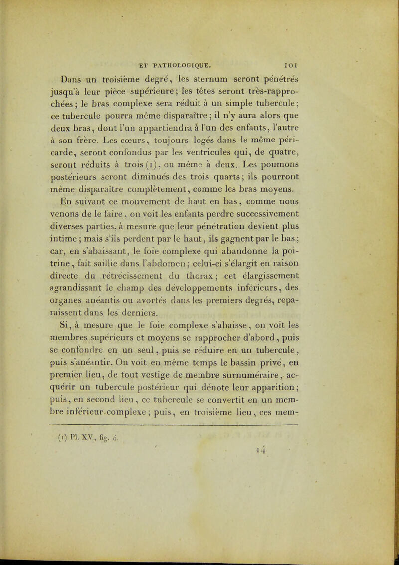 Dans un troisieme degre, les sternum seront penetres jusqu'a leur piece superieure; les tetes seront tres-rappro- chees; le bras complexe sera reduit a un simple tubercule; ce tubercule pourra meme disparaitre; il n'y aura alors que deux bras, dout I'un appartiendra a I'un des enfants, I'autre a son frere. Les coeurs, toujours loges dans le meme peri- carde, seront confondus par les ventricules qui, de quatre, seront reduits a trois(i), ou meme a deux. Les poumons poste'rieurs seront diminues des trois quarts; ils pourront meme disparaitre completement, comme les bras moyens- En suivant ce mouvement de liaut en bas, comrae nous venons de le faire, on voit les enfants perdre successivement diverses parties, a mesure que leur penetration devient plus intime; mais s'ils perdent par le haut, ils gagnent par le bas; car, en s'abaissant, le foie complexe qui abandonne la poi- trine, fait saillie dans I'abdomeii; celui-ci s'elargit en raison directe du retrecissement du thorax; cet elargissement agrandissant le champ des developpements inferieurs, des organes aneantis ou avortes dans les premiers degres, repa- raissent dans les derniers. Si, a mesure que le foie complexe s'abaisse, on voit les raembres superieurs et moyens se rapprocher d'abord, puis se confondre en un seul, puis se reduire en un tubercule, puis s'aneantir. Ou voit en meme temps le bassin prive, en premier lieu, de tout vestige de membre surnumeraire, ac- querir un tubercule posteritur qui denote leur apparition; puis, en second lien, ce tubercule se convertit en un mem- bre inferieur complexe; puis, en troisieme lieu, ces mem- (.) PI. XV, fig. 4. / f