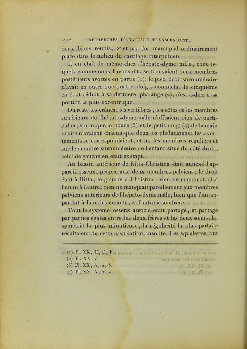 deux ileons reunis, a° et par I'os marsupial ordinairement place dans le milieu du cartilage interpubien. II en etait de meme chez I'hepato-dyrae male, chez le- quel, comma nous I'avons dit, se trouvaient deux membres posterieurs avortes en partie (i); le pied droit surnumeraire n avail en outre que quatre doigts complets, .-le cinquieme en e'tait reduit-a sa; derniere phalange (a), c'est-a-dire a sa portion la plus excentrique. Du reste les cranes, les vertebras, les cotes et les membres superieurs de I'hepato-dyme male n'offraient rien de partis culier, sinon que le pouce (3) et le petit doigt(4) de la main droite n'avaient chacun que deux os pha!angiens; les avor- tements se correspondaient, et sur les membres reguliers et sur le membre surnumeraire de I'enfant situe du cote droit; celui de gauche en etait exempt. Au bassin anterieur de Ritta-Christina etait annexe I'ap- pareil osseux, propre aux deux membres pelviens; le droit etait a Ritta, le gauche a Christina; rien ne manquait ni a I'un ni a I'autre ; rien ne manquait pareillement aux membres pelviens anterieurs de I'hepato-dyme male, bien que I'lin ap- partint a I'un des enfants, et I'autre-ft son freref.ij n^) l Tout le systeme osseux associe etait partage, et partage par parties egales entre les deux freres et les deux soeurSi La symetrie la plus minutieuse, la regularite la plus parfaite resultaient de cette association insolite. Les squelettes ont (2) PI. XX,/ (3) PI. XX, A, a, b. 1^4) PI. XX, A, «', b:.