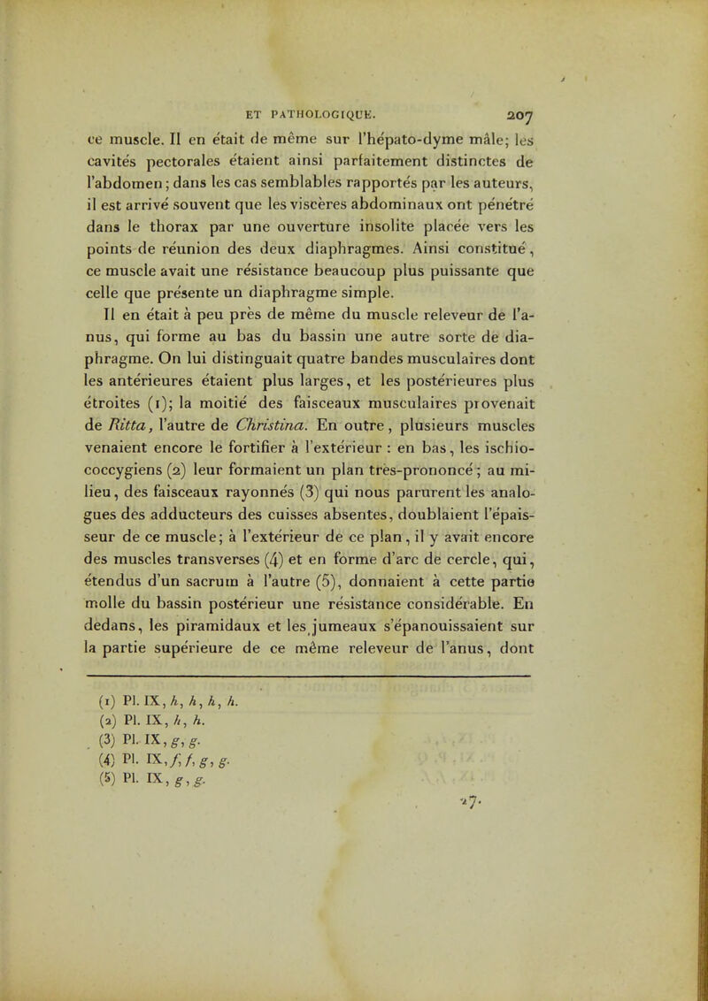 ce muscle. II en etait de meme sur I'he'pato-dyme male; les cavites pectorales etaient ainsi parfaitement distinctes de I'abdomen; dans les cas semblables rapportes par les auteurs, il est arrive souvent que les visceres abdominaux ont pene'tre dans le thorax par une ouverture insolite placee vers les points de reunion des deux dlaphragmes. Ainsi constitue, ce muscle avait une resistance beaucoup plus puissante que celle que presente un diaphragme simple. II en etait a peu pres de meme du muscle releveur de I'a- nus, qui forme au bas du bassin une autre sorte de dia- phragme. On lui distinguait quatre bandes musculaires dont les anterieures etaient plus larges, et les posterieures plus etroites (i); la moitie des faisceaux musculaires provenait de Ritta, I'autre de Christina. En outre, plusieurs muscles venaient encore le fortifier a I'exterieur: en bas, les ischio- coccygiens (2) leur formaient un plan tres-prononce; au mi- lieu , des faisceaux rayonnes (3) qui nous parurent les analo- gues des adducteurs des cuisses absentes, doublaient I'e'pais- seur de ce muscle; a I'exterieur de ce plan, il y avait encore des muscles transverses (4) et en forme d'arc de cercle, qui, etendus d'un sacrum a I'autre (5), donnaient a cette partio moUe du bassin posterieur une resistance considerable. En dedans, les piramidaux et les jumeaux s'epanouissaient sur la partie superieure de ce mSme releveur de I'anus, dont (1) PI. IX, A, A, A, h. (2) PI. IX, A, A. (3) PLIX,^,^. (4) PI. IX,//,^,^.