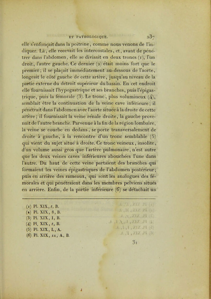 elle s'enfon^aitdans la poitrine, comme nous venous de I'in- diquer. La , elle recevait les interoostales, et, avant de pene- trer dans rabdomen, elle se divisait en deux troncs (i), I'un droit, I'autre gauche. Ce dernier (2) etait moins fort que le premier; il se placait immediatement au-dessous de I'aorte, longeait le cote gauclie de cette artere, jusqu'au niveau de la partie externe du detroit superieur dubassin. En cet endroit elle fournissait I'hypogastrique et ses branches, puis I'epigas- trique, puis la femorale (3). Le tronc, {)lus volumineux (4), sembiait etre la continuation de la veine cave inferieure; il pe'netrait dans I'abdoinen avec I'aorte situeea la droite de cette artere; il fournissait la veine renaie droite, la gauche prove- nait de I'autre branche. Parvenue a la fin de la region lombaire, la veine se courbe en dedans, se porte transversalement de droite a gauche, a la rencontre d'un tronc semblable (5) qui vient du sujet situe a droite. Ce tronc veineux, insolite, d'un volume aussi gros que I'artere pulmonaire, n'est autre que les deux veines caves inferieures abouchees I'une dans I'autre. Du haut de cette veine partaient des branches qui formaient les veines epigastriques de I'abdoTnen poste'rieur; puis en arriere des rameaux, qui sont les analogues des fe- morales et qui penetraient dans les membres pelviens situes en arriere. Enfin, de la partie inferieure (6) se detachait un (i) PI. XIX, t, B. («) PI. XIX, 8, B. (3) PI. XIX, I, B. (4) PI. XIX, t, B. (5) PI. XIX, L, A. (6) PI. XIX, II, A, B 3i