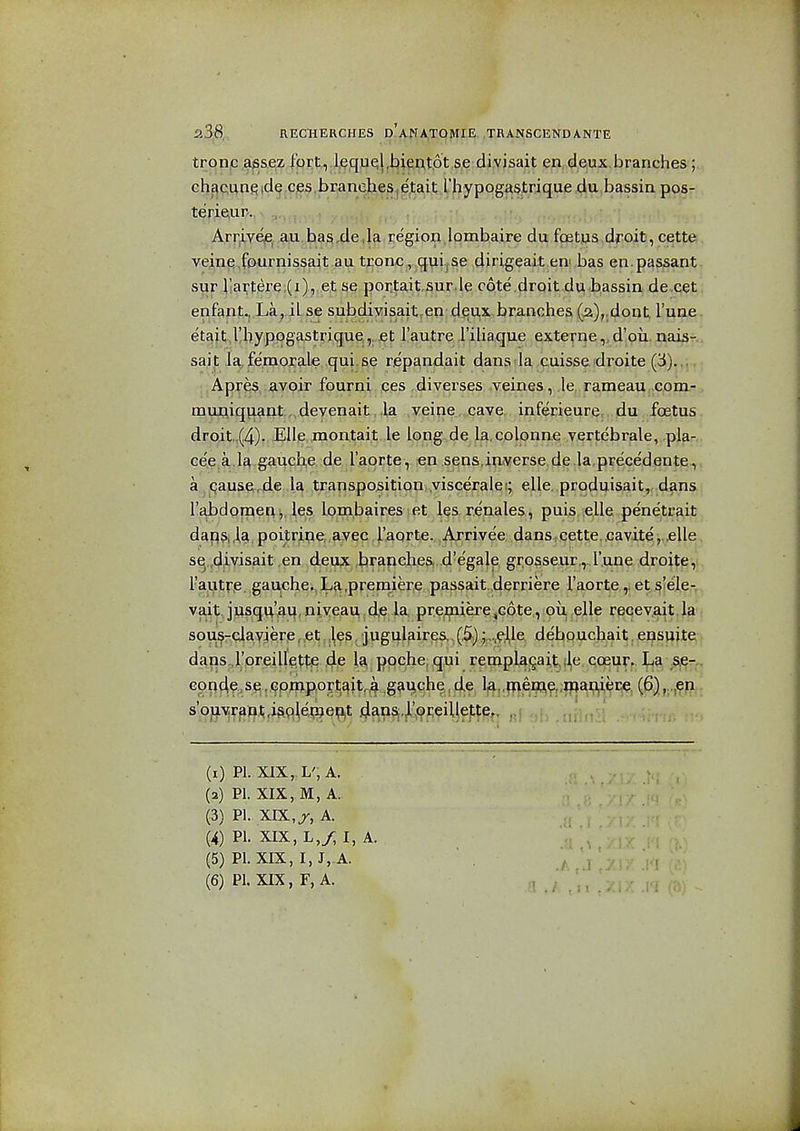 tronp a^sez fort, ,l,ec[ue;l.bicAtpt se divisait en deux, branches;.. Ghctc;unside.ces.branehes,etait rhypogastrique du bassin pos- terieur. Arr^ve^e^ au.bas^de.la region lombaire du foetus droit, cette veine^fournissait au tronc , quijSe dirigeait en bas en.passant sur liartere,(i), et se portait.sur.le cote droit du bassin de cet enfant..,.La, iLse subdiyisaitren d^ux.branches (2),,dont. I'une etajt j'hyppgastrique,,,jet l!autrei'iliaque externe,,d',Qii. nais- sai t la, femorale qui.se repandait dans la cuisse droite (3). .. ;,Apres avoir fourni ces diverses veines, le rameau com- mufliqiiant „devenait .la veine , cave inferieure. du .foetus droit..(4)- Elle montait le long de la.colonne vertebrale, pla- ce,e a.Ia gauche de I'aorte, en sens,inverse de la,prece'dente, a ,pausq.^de la transposition .visceralei; elle, produisait, dan&: I'abdomenii,, les lombaires et l^s r.enales, puis, elle pe'netrait daps,poitripe, avec Taorte. Arrivee, dans.cette..cavite,..elle s^,,divisait en deux branches, d'egale grosseur.,J'.une droite, rautr.e. gauche., La .premiere passait. derriere I'aorte,. et §'ele-. vait. jusqu'au,niyeau,,de la, prejtpiere^Gote, oil elle recevait la sou^-ciavierie ,,et .^es, jugul^irea, (.5) J,le. debpuchait. epsuite, dans.l'preille.tte ,de la, ppche. q.ui rempl^jjait,;!,^. Qoeur. L*a ,sp-.. copd^,sp .(jpwp,ort^itr^ g^uche^ l,^,,me^a^,,waii^ece. (6) ,,,en s'ollvj^^^l.t4sp^r9ep,t da;nsj.l^^^ ^ (i) PI. XIX,. L', A. (a) PI. XIX, M, A. (3) PI. XIX,jr, A. (4) PL xix,L,y;i, A. (5) PL XIX, I, J,,A. (6) PL XIX, F, A.