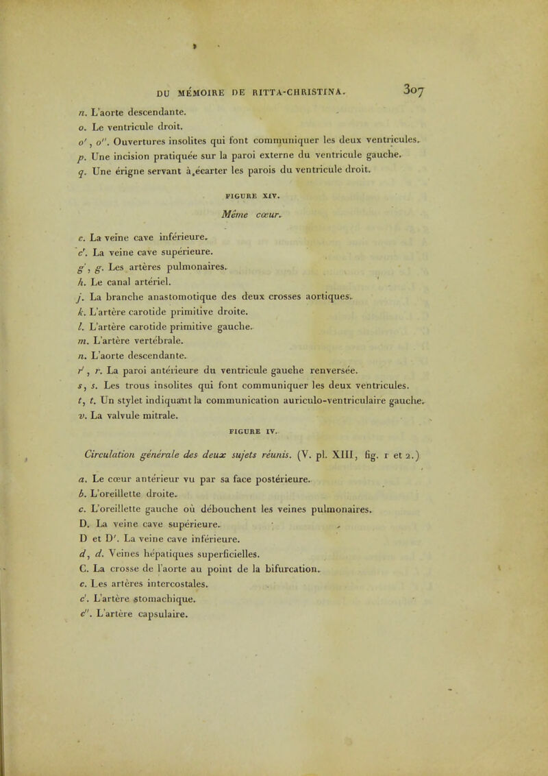 n. L'aorte descendante. 0. Le ventricule droit. o', o. Ouvertures insolites qui font communiquer les deux ventiicules, p. Une incision pratiquee sur la paroi externe du ventricule gauche. q. Une erigne servant a.ecarter les parois du ventricule droit. FIGURE XIV. Meme cceur. e. La veine cave inferieure. c'. La veine cave superieure. ff', g. Les arteres pulmonaires. h. Le canal arteriel. j. La branche anastomotique des deux crosses aortiques. k. L'artere carotide primitive droite. 1. L'artere carotide primitive gauche. m. L'artere vertebrale. n, L'aorte descendante. , r. La paroi anteneure du ventricule gauche renversee. J, s. Les trous insolites qui font communiquer les deux ventricules. t. Un stylet indiquaiit la communication auriculo-ventriculaire gauche, V. La valvule mitrale. FtGDRB IV. Circulation generale des deux sujets reunis. (V. pi. XlII, fig. r et 2.) a. Le cceur anterieur vu par sa face posterieure. i. L'oreillelte droite- c. L'oreillette gauche ou debouchent les veines pulmonaires. D. La veine cave superieure. D et D'. La veine cave inferieure. d, d. Veines hepatiques superficielles. C. La crosse de l'aorte au point de la bifurcation.. c. Les arteres intcrcostales. c'. L'artere «toinachique. c. L'artere capsulaire.