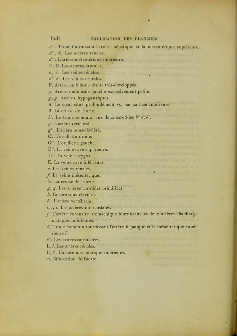 * 8u8 EXPLICATION DES PLANCHES c''. Tronc fournissaiit I'artere hepatitjiie et la ini^seiiterique supericurc. d', tt. Les arteres iviialtfS. </''. L'arteie iiiusfiiterique iiil'erieure. £, E. Les arteres crurales. e, e. Les veines renales. e'', e. Les veiiies criirales. F. ArltTc oiiibilicale ilroite lrus-(lt5veloppee. g. Artere oiiibilicale gauche excessivcinent petite. g,g- Arteres hypogastriqiies. A' Le cueur sitiie pri)fondenient vu par sa face antericure. B. Lii crosse de I'aorte. b'. Le tronc cotnmun aux deux carotides b' ct h. g. Lartere vertebrale. g. L'artere sous-claviere. C. L'oreillette droite. C. L'oreillette gauche. D. La veine cave superieure. D'. La veine azygos. . E. La veine cave inferieure. e. Les veines renales. # y. La veine mesenterique. G. La crosse de I'aorte. g, g. Les arteres carotides primitives. h. l'artere sous-claviere. h'. L'artere vertebrale. t, I, i. Les. arteres intercostales. j. L'artere coronaire stomachique fournissant les deux arteres diaplirag- niatiques inferieures. k'. Tronc comraun fournissant l'artere hepatique et la mesenterique supe- rieure /. A. Les arteres capsulaires. L, /. Les arteres renales. L', /'. L'artere mesenterique inferieure.