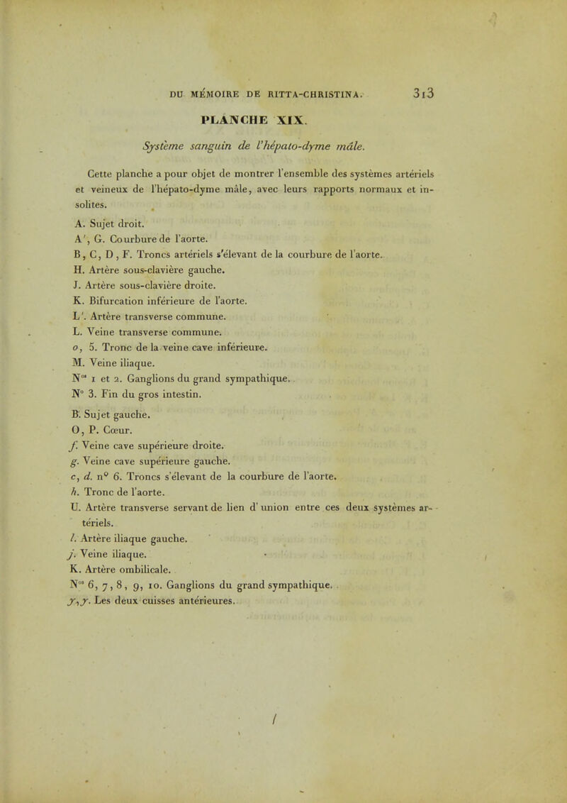 PLANCHE XIX. Systeme sanguin de I'hepalo-dyme male. Cette planche a pour objet de montrer 1'ensemble des systemes arteriels et veineux de I'hepato-dyme male, avec leurs rapports normaux et in- solites. A. Sujet droit. A', G. Courburede I'aorte. B, C, D , F. Troncs arteriels s'eievant de la courbure de I'aorte. H. Artere sous-claviere gauche. J. Artere sous-claviere droite. K. Bifurcation inferieure de I'aorte. L'. Artere transverse commune. L. Veine transverse commune. o, 5. Tronc de la veine cave inferieure. M. Veine iliaque. I et 2. Ganglions du grand sympathique. N° 3. Fin du gros intestin. R Sujet gauche. O, P. Coeur. f. Veine cave superieure droite. g. Veine cave superieure gauche. c, d. n* 6. Troncs s'eievant de la courbure de I'aorte. h. Tronc de I'aorte. U. Artere transverse servant de lien d' tmion entre ces deux systemes ar- • teriels. /. Artere iliaque gauche. yVVeine iliaque. K. Artere ombilicale. N°' 6, 7,8, 9, to. Ganglions du grand sympathique. . y-iy. Les deux cuisses anterieures. /