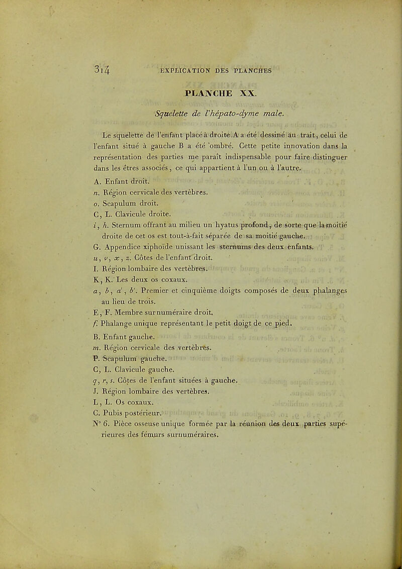 PLAKCHE XX. Squelette de Vhipato-dyme male. Le squelette de renfant place a droite.Aa ete dessine au trait, celui de I'enfant situe a gauche B a ete ombre. Gette petite innoTation dans la representation des parties ine parait indispensable pour f'aire distinguer dans les etres associes, ce qui appartient a Tun^QU a I'autre. A. Enfant droit. n. Region cervicale des vertebres. 0. Scapulum droit. C, L. Clavicule droite. J, h. Sternum offrant au milieu un hyatus profond, de sortC'que lamoitie droite de cet os est tout-a-fait separee de sa moitie gauche. G. Appendice xiphoide unissant les stemiims des deux enfants. «, c, 07, z. Cotes de renfant'Hroit. 1. Region lombaire des vertebres. K, K. Les deux os coxaux. , a, b ^ a! , b'. Premier et cinquieme doigts composes de deux phalanges au lieu de trois. E, B'. Membre surnumeraire droit. f. Phalange unique represeiitant le petit doigt de ce pied. B. Enfant gauche. m. Region cervicale des vertebres. P. Scapulum -gauehe.tillipi G, L. Glavicule gauche. r,s. Cotes de I'enfant situees a gauche. J. Region lombaire des vertebres. L, L. Os coxaux. C. Pubis posterieur. i N° 6. Piece osseuse unique formee par la reunion des deux parties supe- rieures des feipjurs suruumer.iires.