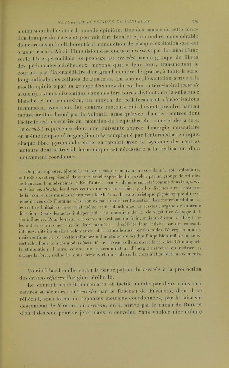 \ I Vr/■; /•;r /•• i)\(:tI()\n /'' '.'/•'/''''•''/' :>u moliMii s (111 ct (Ic la iiioclle cpiiiiore. Uiu; dcs causes do cello I'oiio- lioii toniqiie (III corvohil [xxinail lorl l)ioii olro lo iiomhio coiisidorable (le neurones qui coUaborenta la conduction do cluuiiio oxcilalion (|ue eel oi'o-ano i-ocoit. Aiiisi, rinipulsion dosccnduo du rrrvraii par Ic canal d'linc soul(! libro |)yraniidale se pfO|)agc au crrvclel par un groupe do fibres dcs pedoncules cerebcUoux nioyons (|ui, a loui- lour, Iransniellonl le couranl, par rinlormodiaire d'un grand nonii)ro do grains, a loule la serie longitudinale des cellules do Punivi>'.iK. En somme, I'oxcitation arrive a la inoello epiniere par uii groupe d'axones du cordon anlero-laleral [voie de Mahciii), axones dissoniines dans dos lorritoircs dislincls de la subslancc blanche et en connexion, au moyoii de (■oUaleralos ct d'arborisalions tenninales, avcc tons Ics centres niolcui'S qui doivenl prendre part au mouvcment ordonne par la volonte, ainsi qu'avec d'autres centres donl Tactivite est necessaire au maintien de Fequilibre du tronc et de la lolo. Le cervelet represeiitc done une puissante source d'energie nuisculaire en menie temps qu'un ganglion tr6s compliqu6 par rinlermediaire duquel chaque fibre pyramidale entre en rapport «vec lo sysleme des centres nioteurs dont le travail hariuonique est necessaire a la realisation d\iu niouvement coordonne. On pent snpposcr, ajoulc Cajai., que clinquc monvonipnl coordonno, soil volonlairo. soil n-floxe, csL rcpn-sonU, dans une lamellc spccialc du ccrvelel, par un groupe de cellules (Ic PL i(kiN.iF. iioniodynames. « En d'aulres lermes, dans le cervelei comme dans la .ipht-re niolrice cerehrale, les divers cenlres moleurs aussi bien que les di\erses aires sensitives de la peau el des muscles se Irouvenl localises ». La caracUH-islique plivsiologique du sys- leme nervcux de I'homme, c'esl sou exlraordinaire cenlralisalion. Les cenlres medulUures, les centres bulbaircs, le cervelei meme, soul subordonnes au eerveau, orgaue de supreme (lireclion. Seuls les acles indispensables an niaiiilicii de la ^ie vegelalive ecbai)penl a sou iniluence. Pour le resle, « le eerveau n'esl pas uii (Vein, mais un eperon ». II agil sur les aulres cenlres nerveux de deux manieres : il sollicile leur aelivile par des couranis inlenses. dils impidsions volonlaires ; il les slinude aussi jwrdes ondes d'energie moindre. mais (onlinue : cVsl a celte iniluence aulonialiqne fpi'esl due Tinqnilsion reilexc ou sous- corlicale. I'our lous ces modes d'aclivile, le eerveau collabore avec le cervelei. L'nu apporle la slinudalion : I'aulre, comme lui « accumulaleur d'energie nerveuse ou molrice », degage la iorce, realise le tonus nerveux el nuisculaire, la eoordinalioii des mon\emeuls. Voici d'aboi'd quelle sorail la j)articipation du cervelei. a la iirodluiion dos actiom reflexes d'originc cerebralc. Le couranl sensitif nuisculaire et tactile niontc par deux voies aux centres superieurs: aW cervelei par le faisccau de Flechsig, d'ou il so reflechit, sous forme do rcponses inotrices coordonnees, par le faisccau descendant de Ma-HCIii ; au eerveau, ou il arrive par lo ruban de Heil et d'ou il descerul pour sc^ jotc'r dans lo corvelet. Sans vouloir nier qu'une